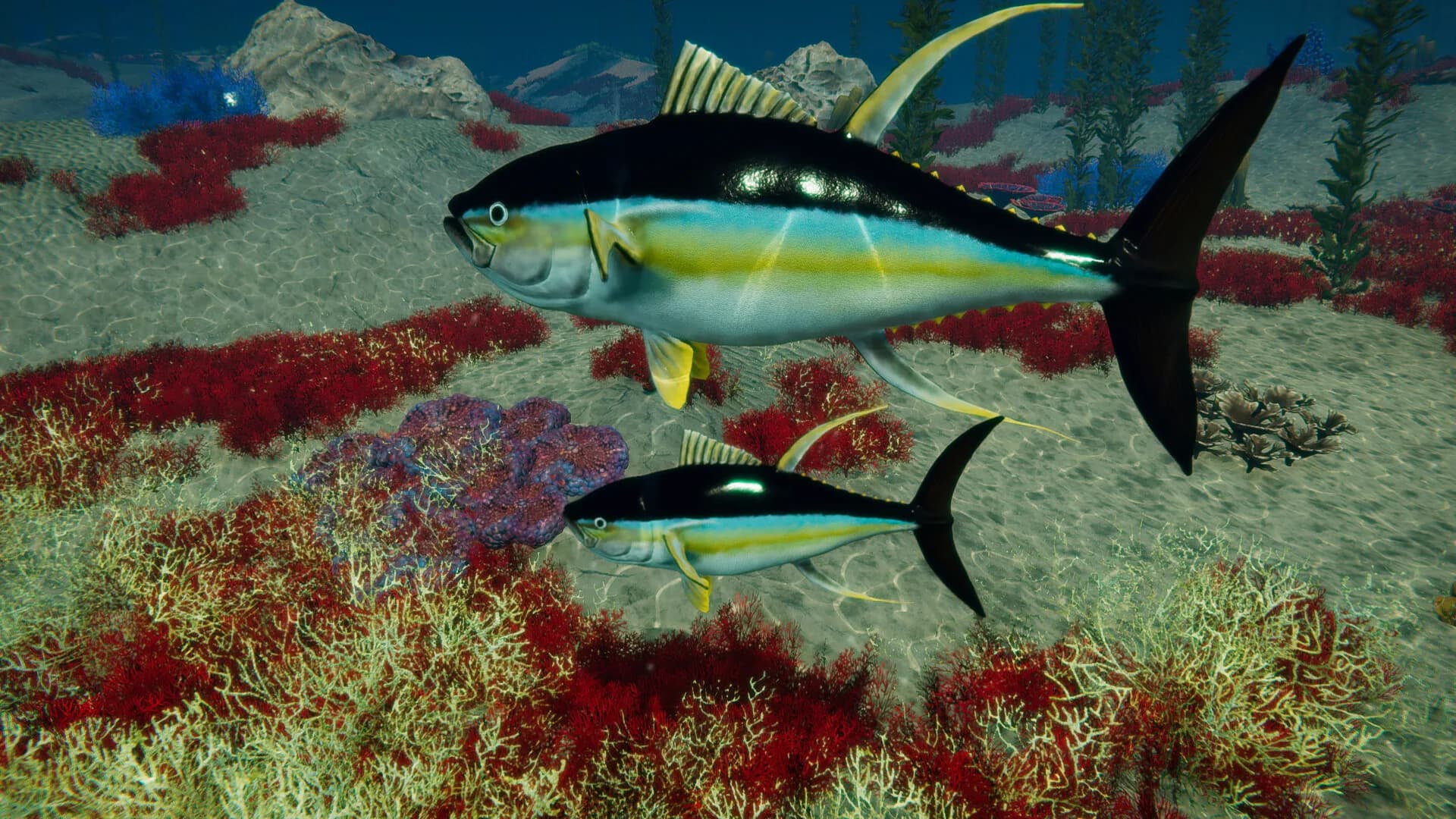 Blue Epic görsel 10