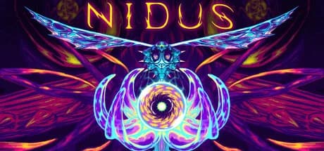 NIDUS görsel 1