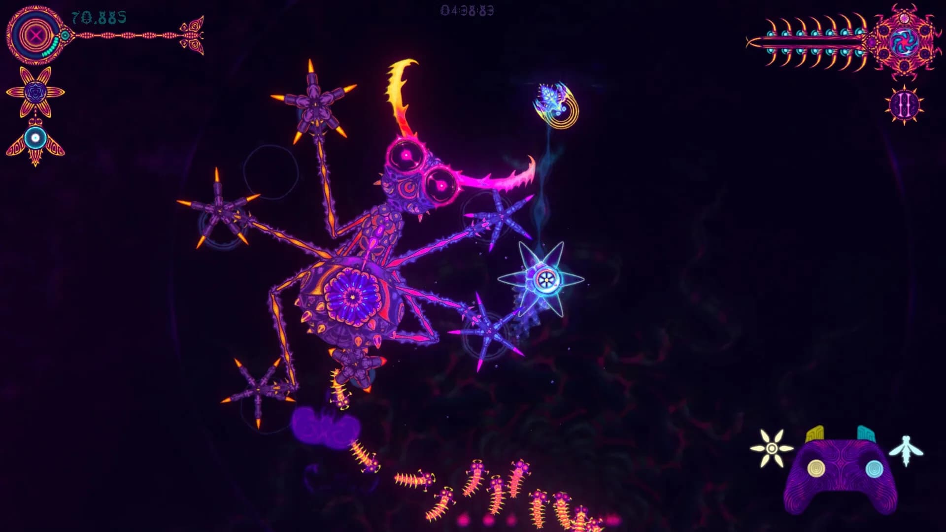 NIDUS görsel 2