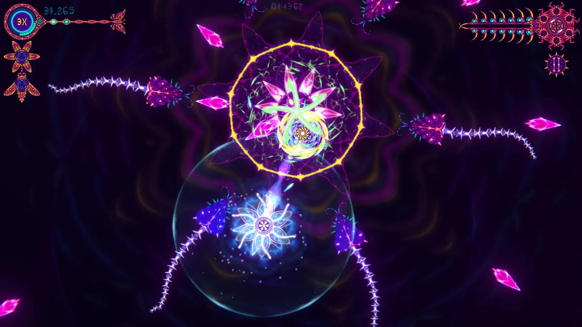 NIDUS görsel 5