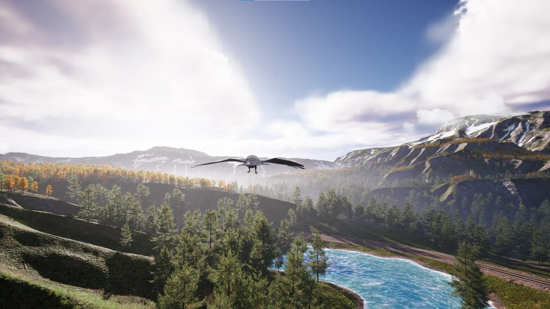 Bird's Eye Odyssey görsel 3