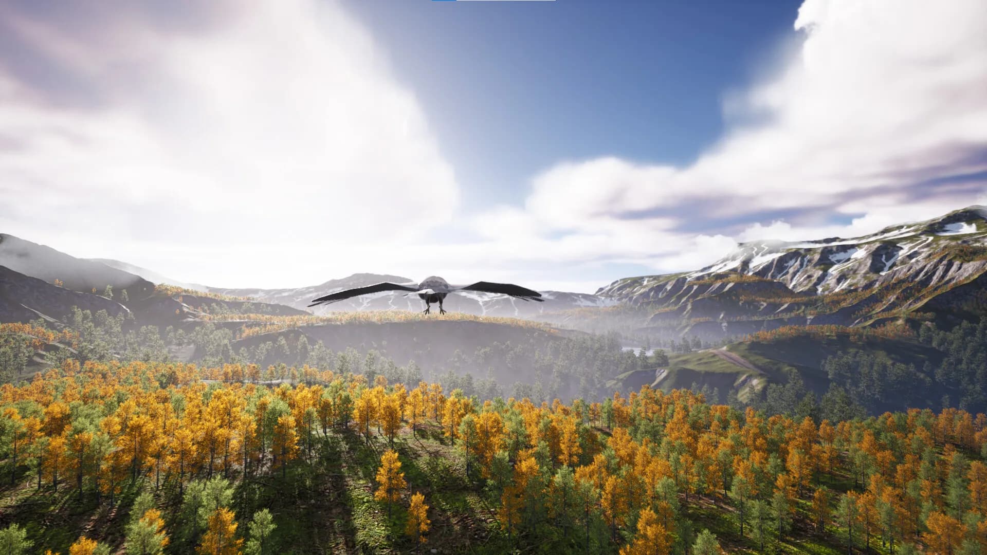 Bird's Eye Odyssey görsel 11