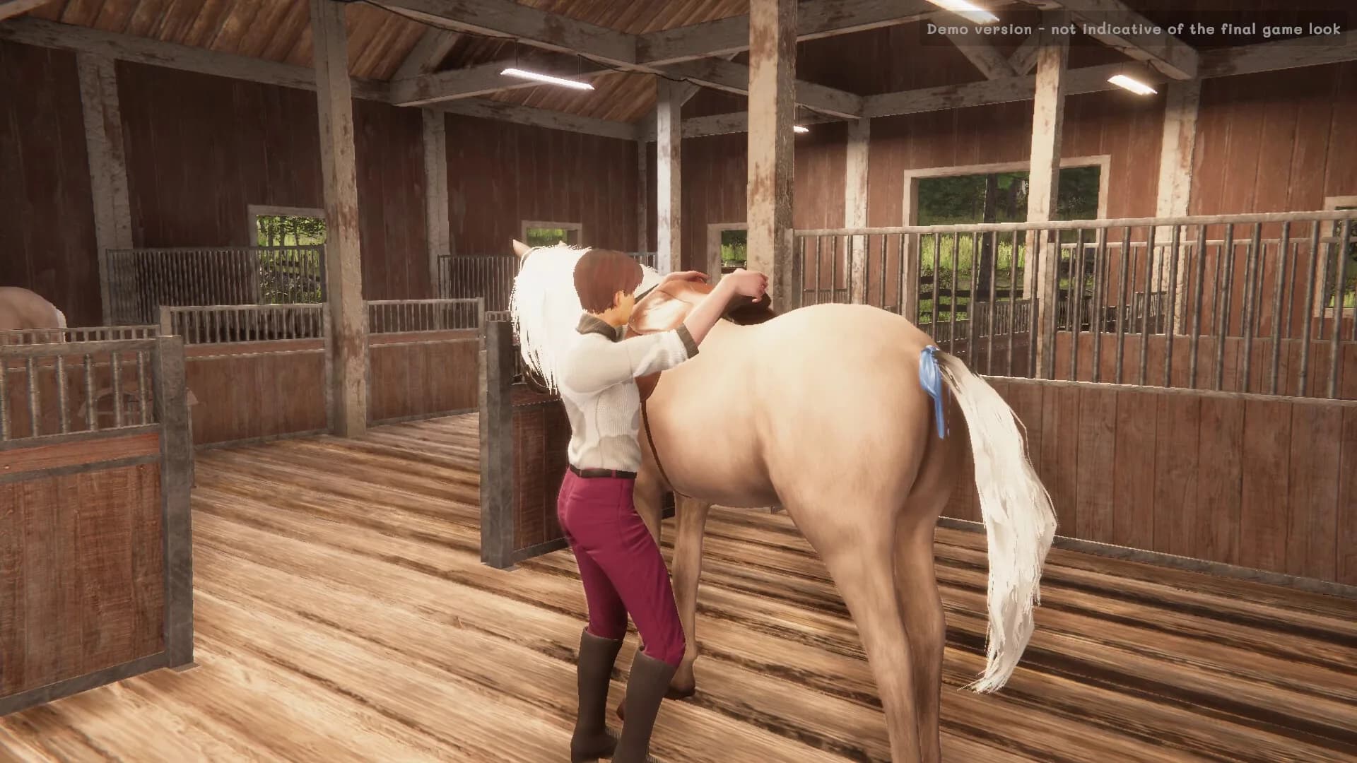 My Horse: Bonded Spirits görsel 6
