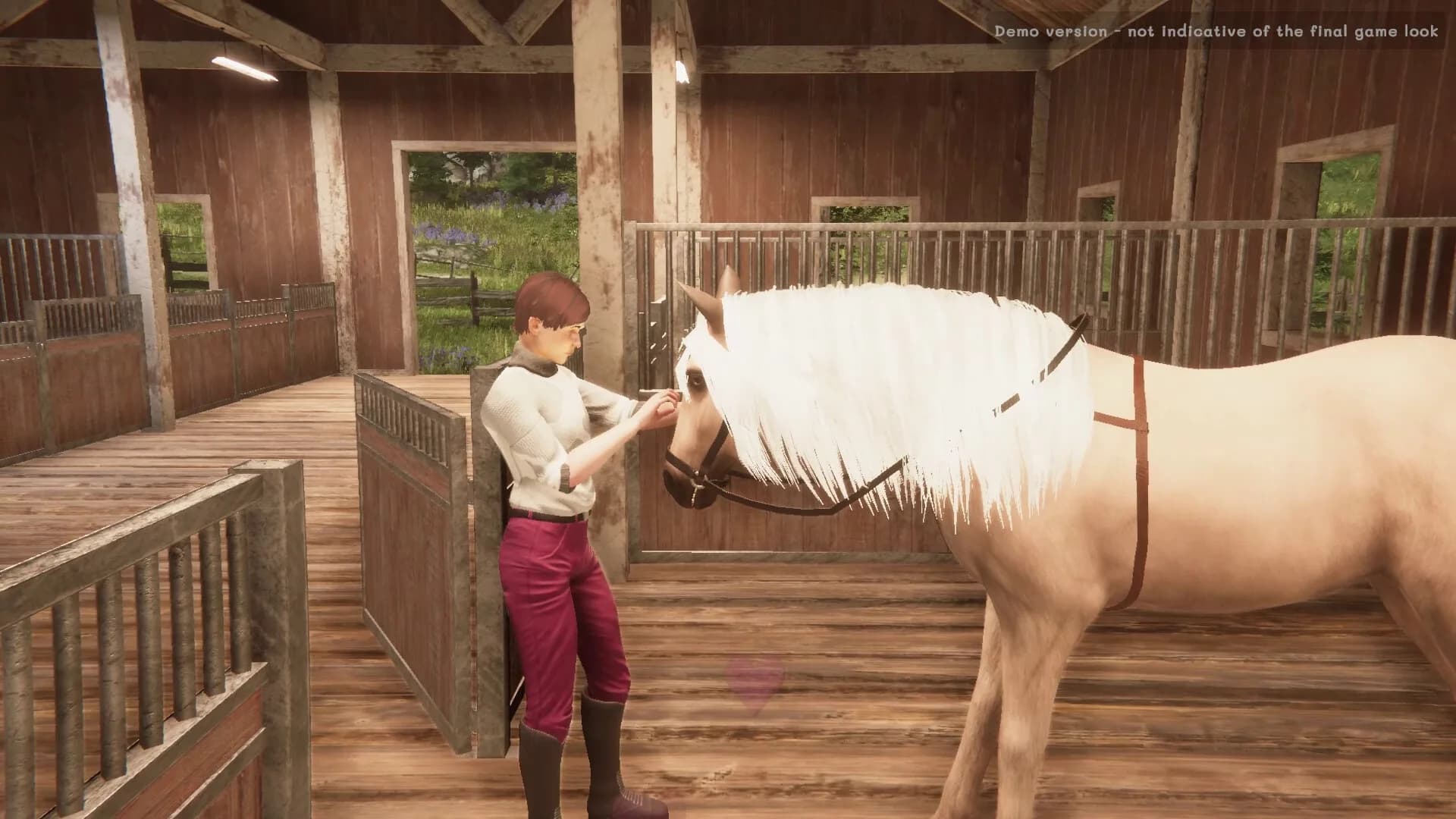 My Horse: Bonded Spirits görsel 11