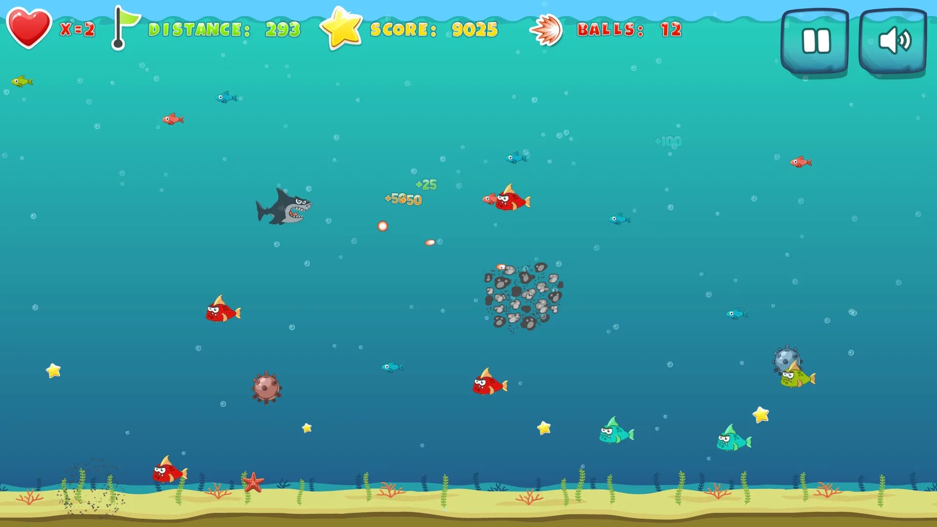 Coral Caper görsel 2