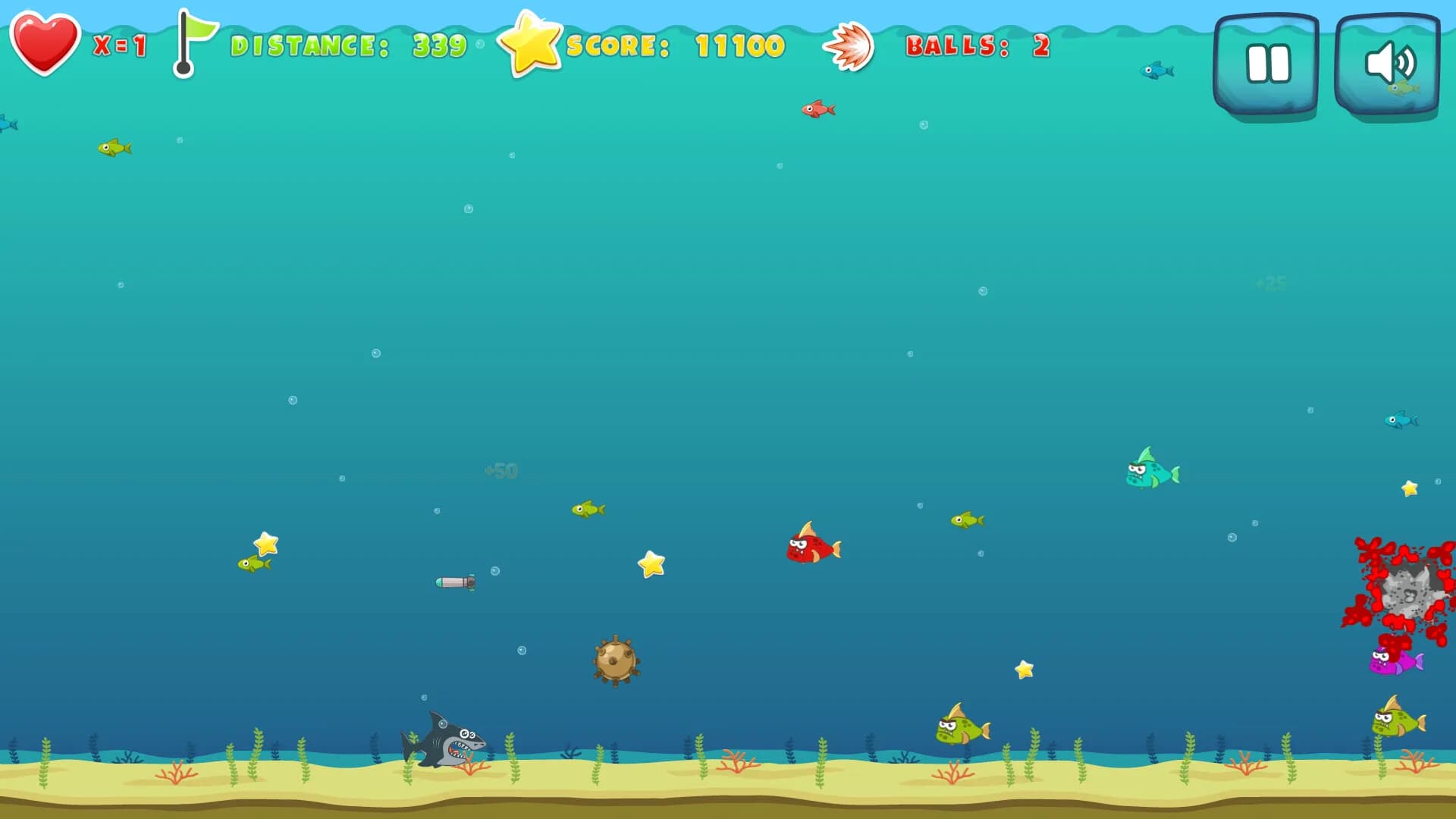 Coral Caper görsel 4