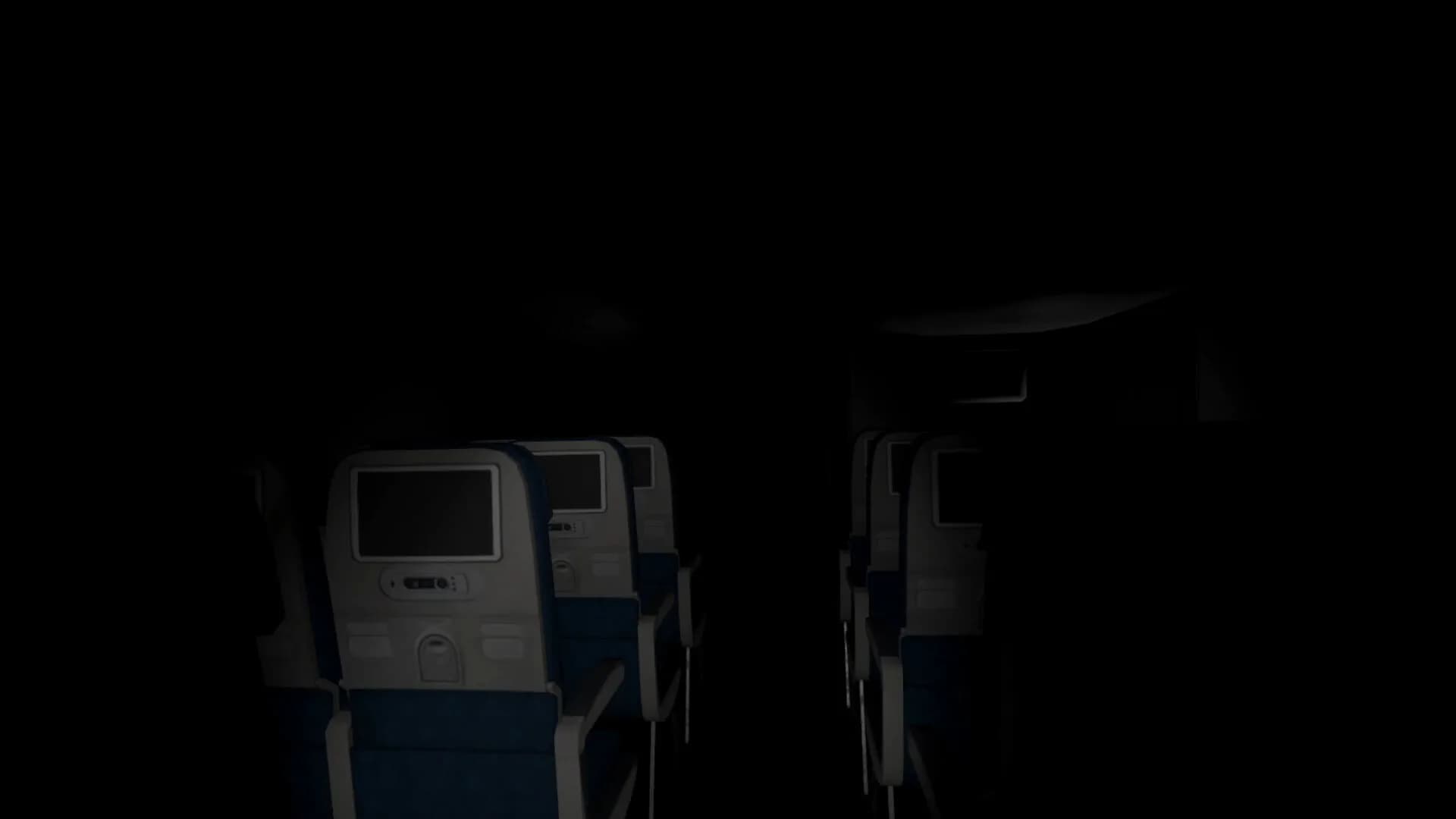 Aviophobia görsel 7