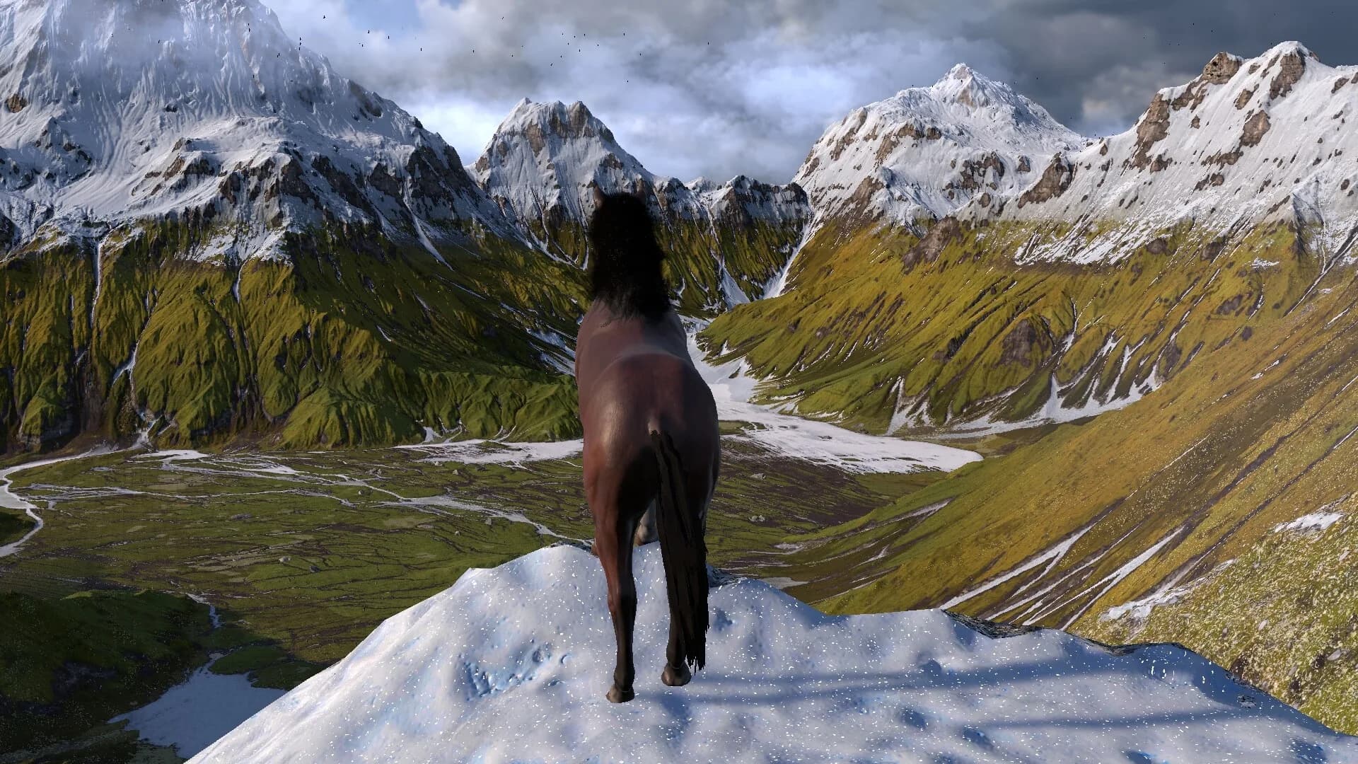 HORSE LIFE: find horses in open world, survive in wild nature as a foal or pony görsel 2