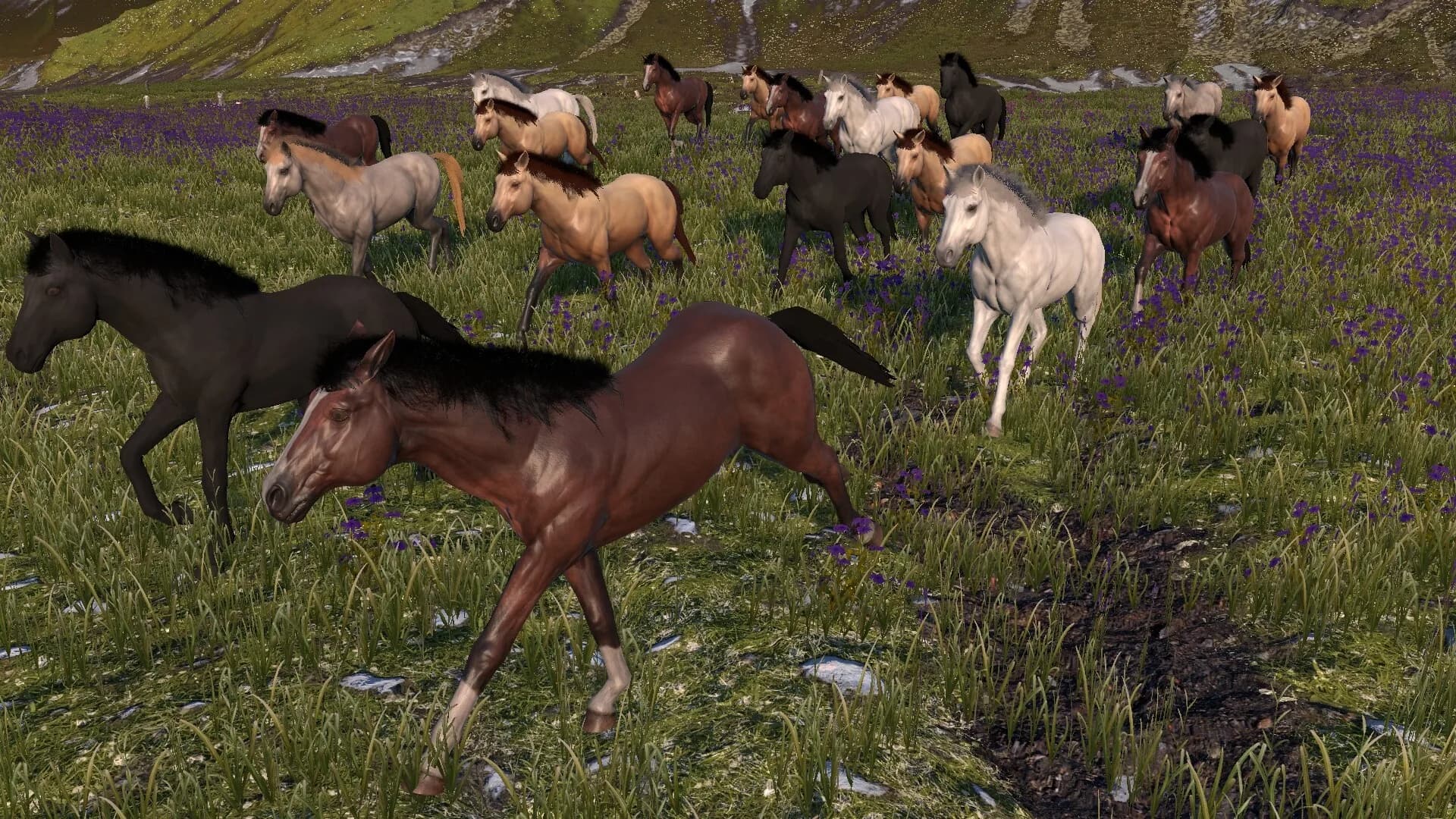 HORSE LIFE: find horses in open world, survive in wild nature as a foal or pony görsel 3