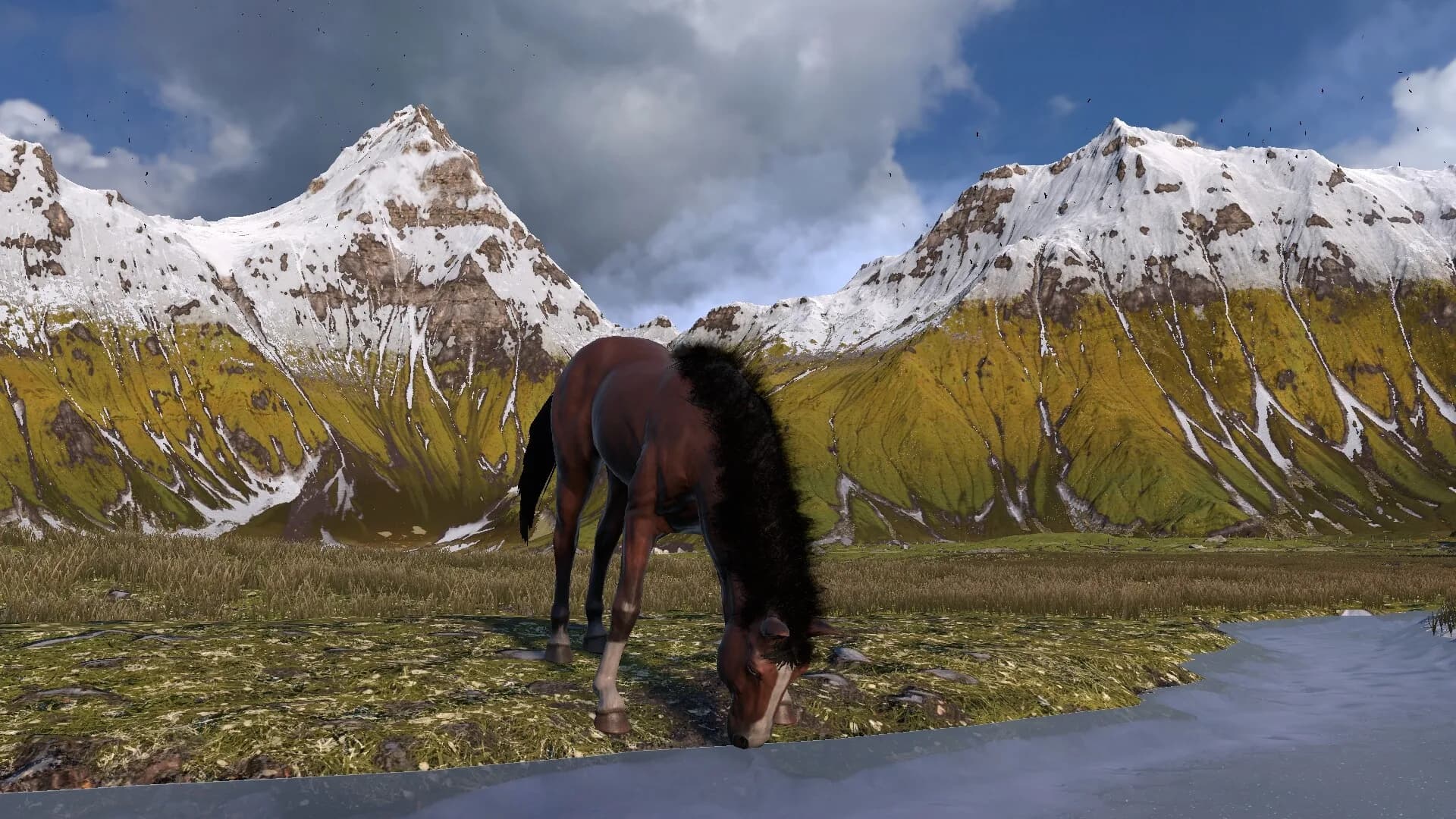 HORSE LIFE: find horses in open world, survive in wild nature as a foal or pony görsel 4