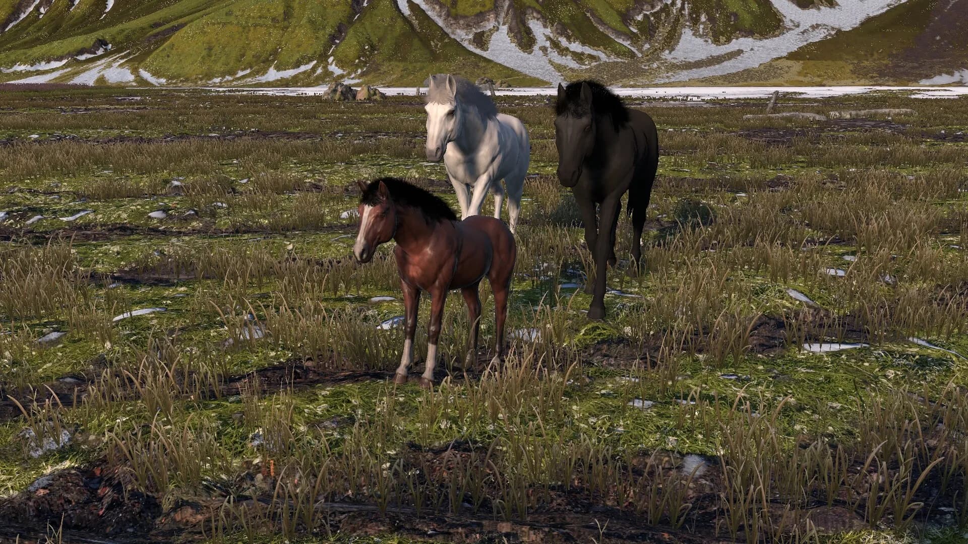 HORSE LIFE: find horses in open world, survive in wild nature as a foal or pony görsel 5