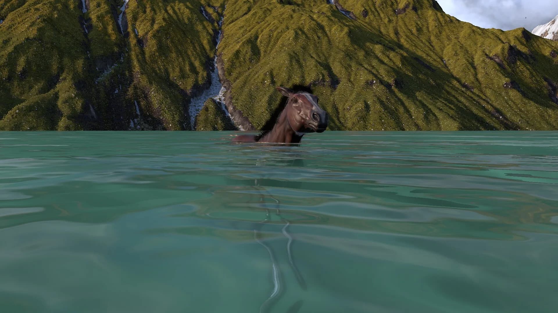 HORSE LIFE: find horses in open world, survive in wild nature as a foal or pony görsel 7