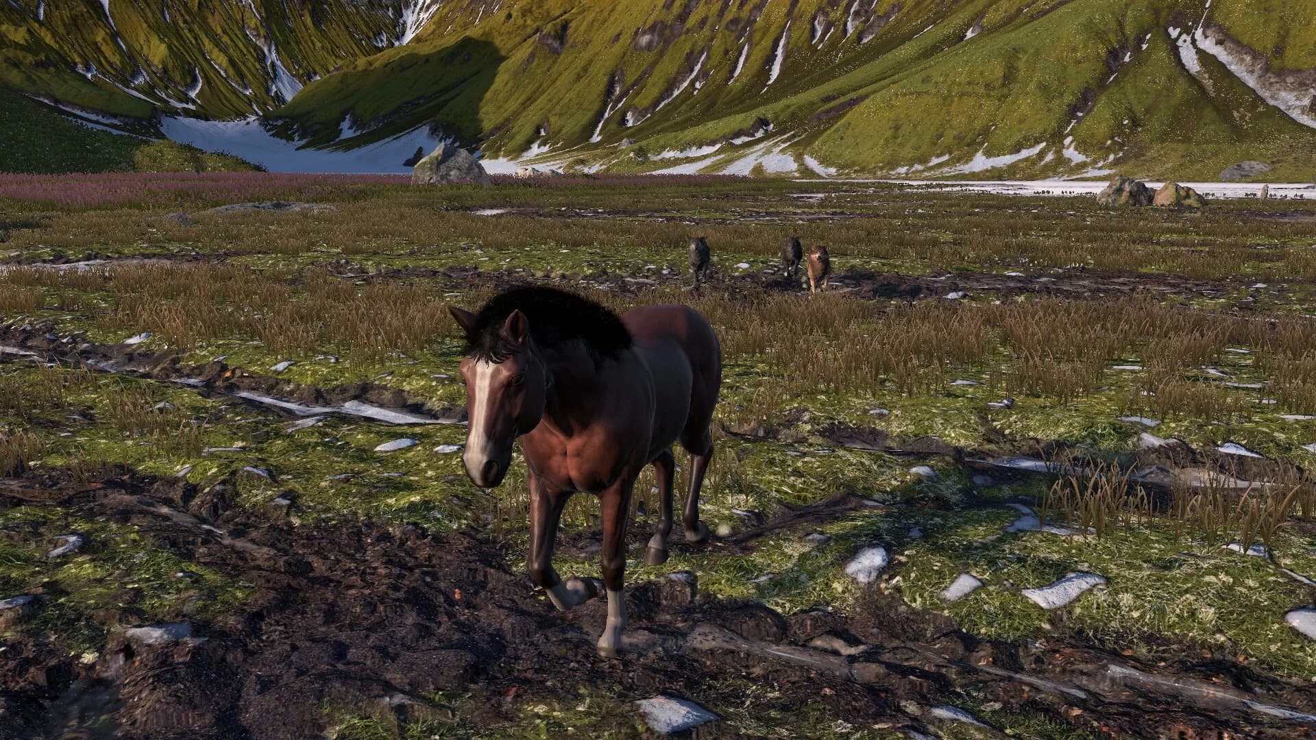 HORSE LIFE: find horses in open world, survive in wild nature as a foal or pony görsel 8