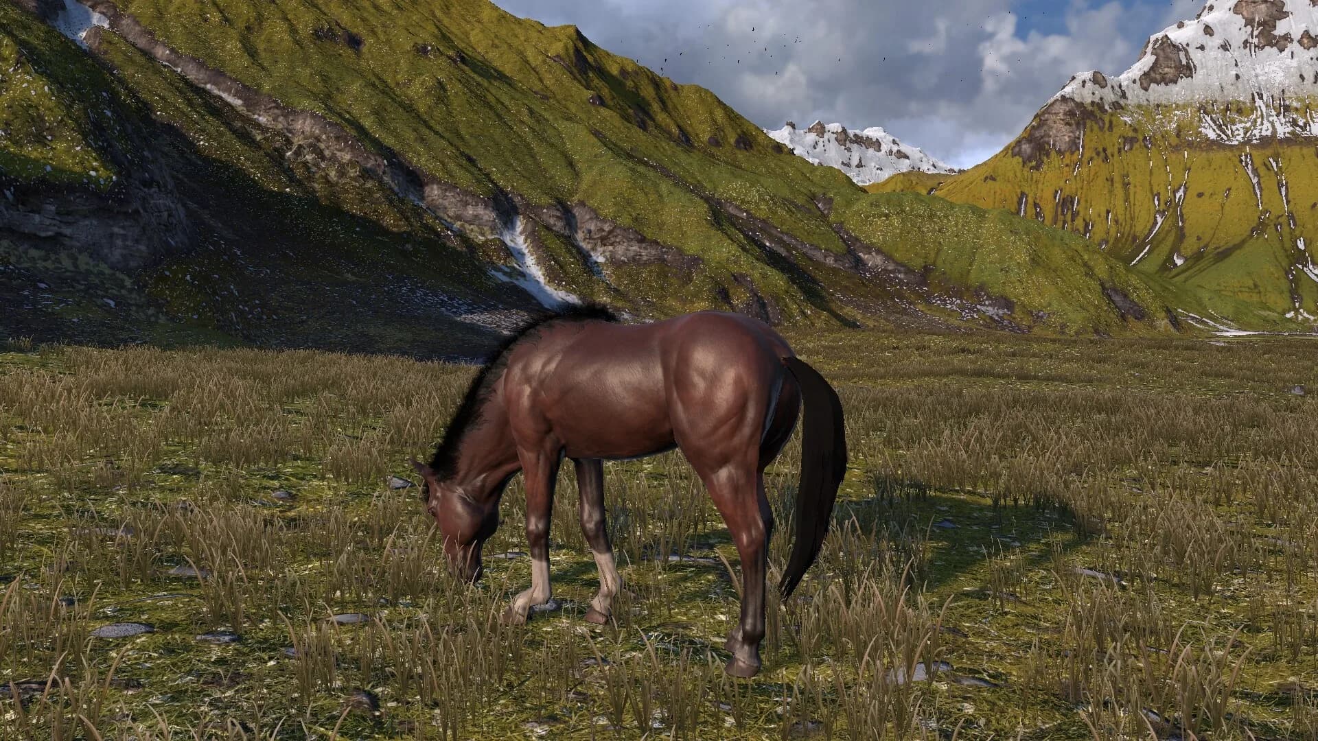 HORSE LIFE: find horses in open world, survive in wild nature as a foal or pony görsel 10