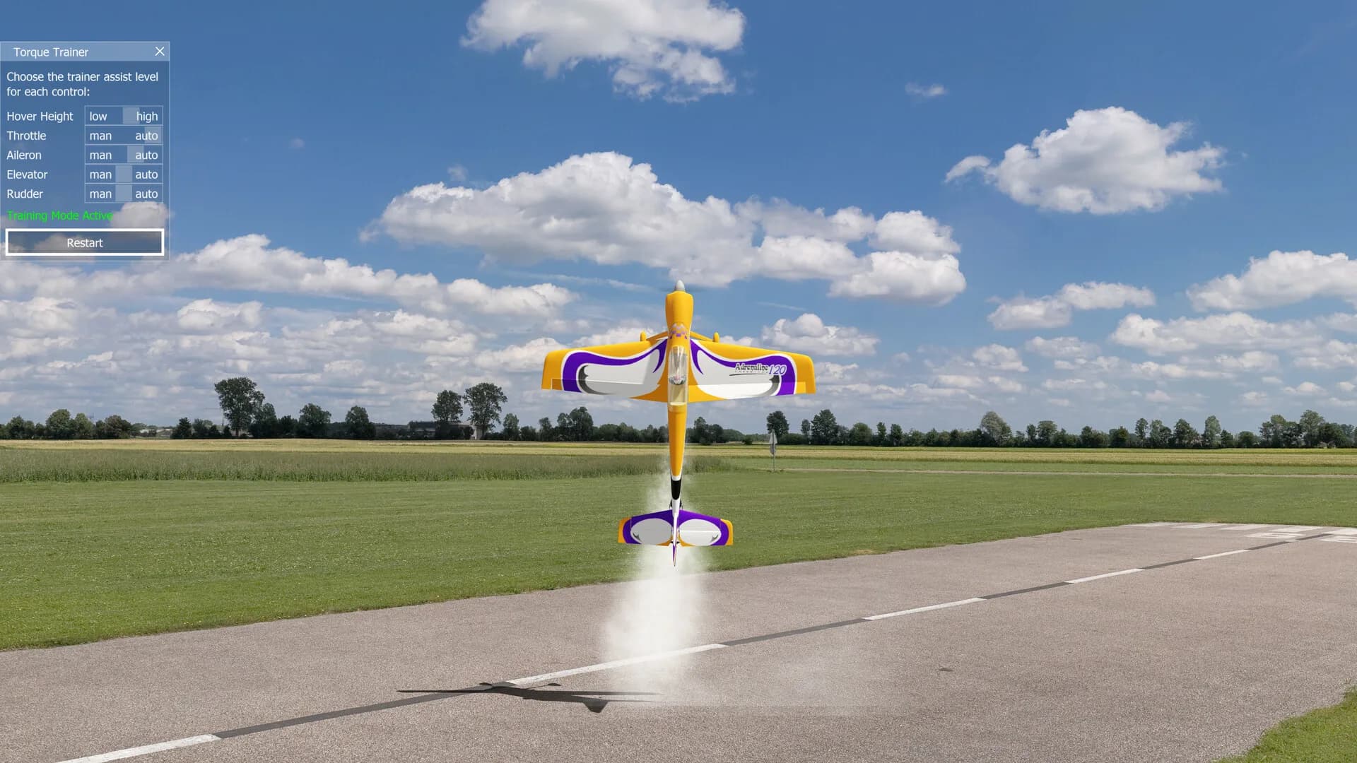 aerofly RC 10 - RC Flight Simulator görsel 10