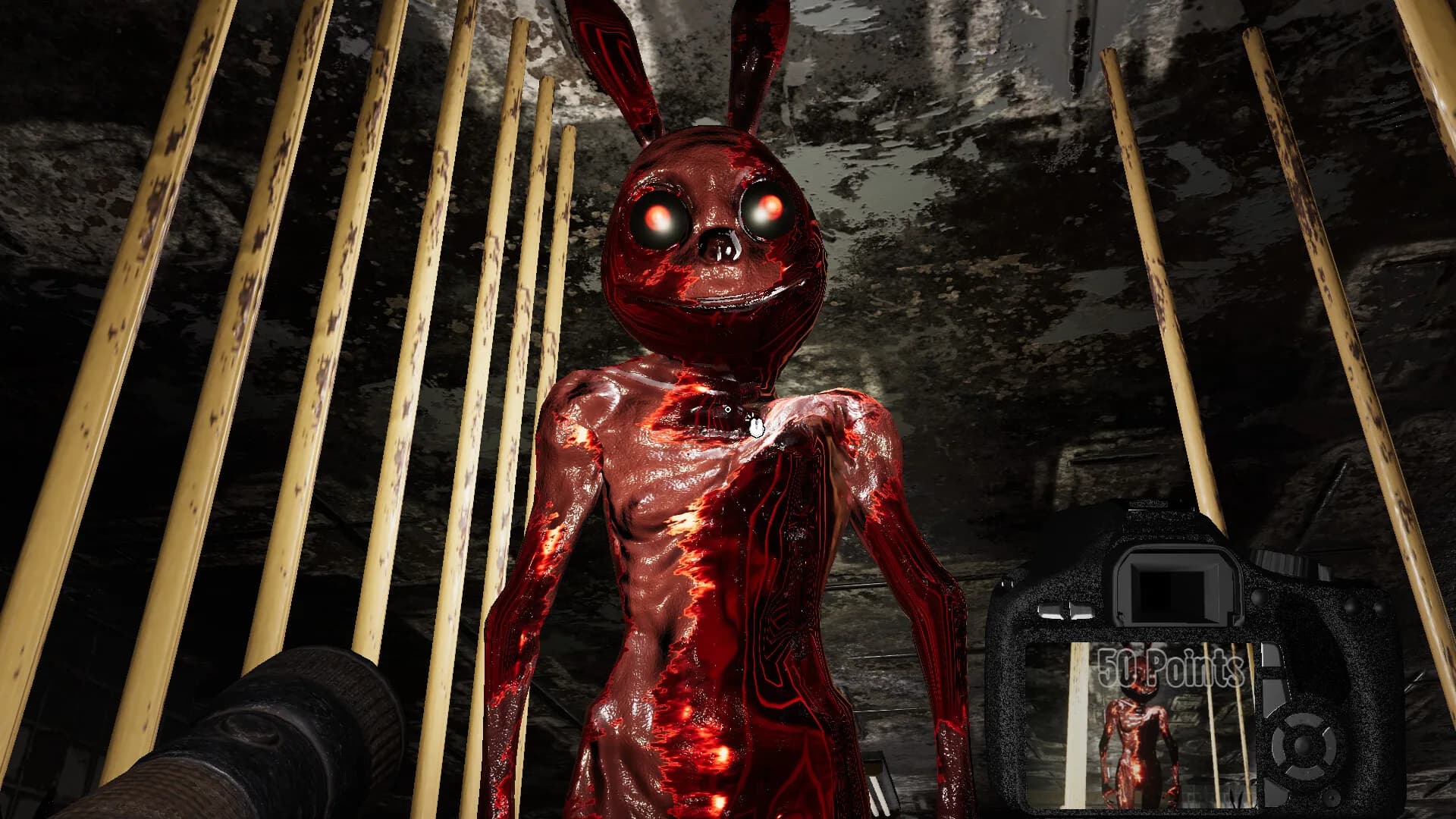 Trash Bunny House görsel 9