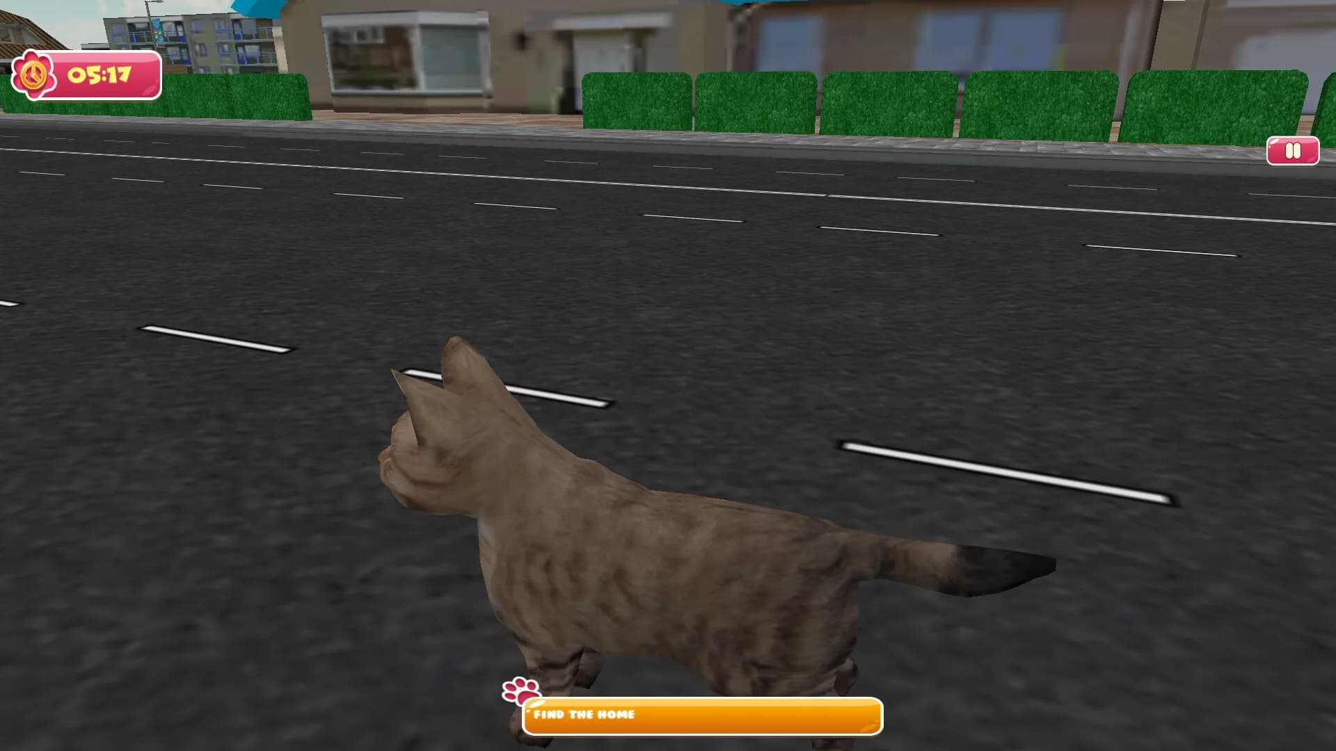 City of Cats görsel 7