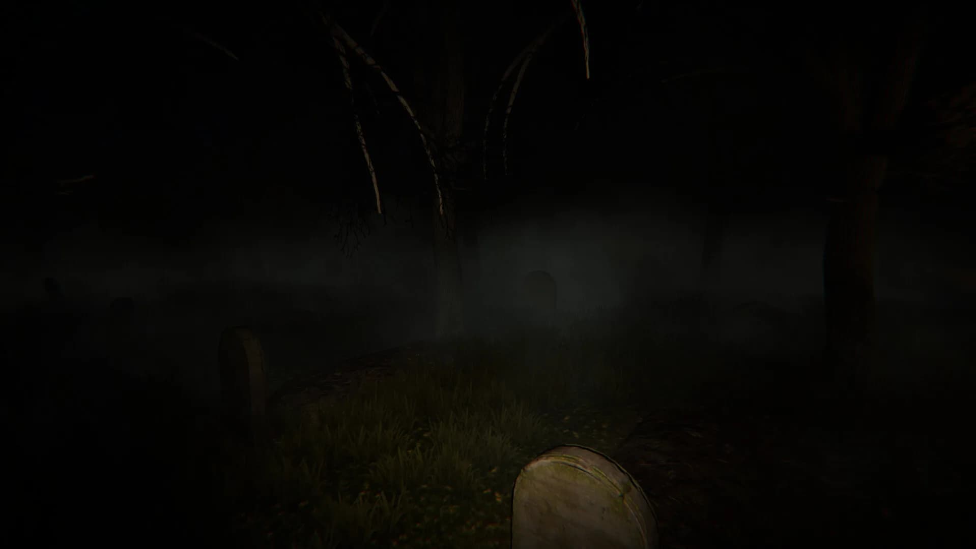 Haunted Investigation görsel 4