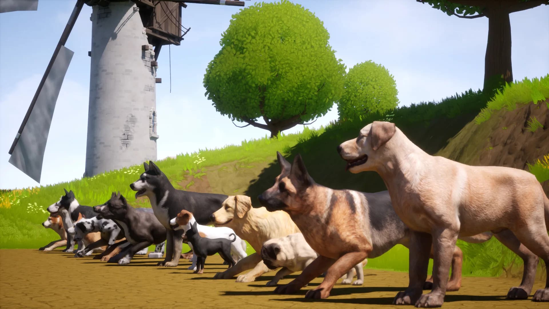 Dogs Club görsel 2