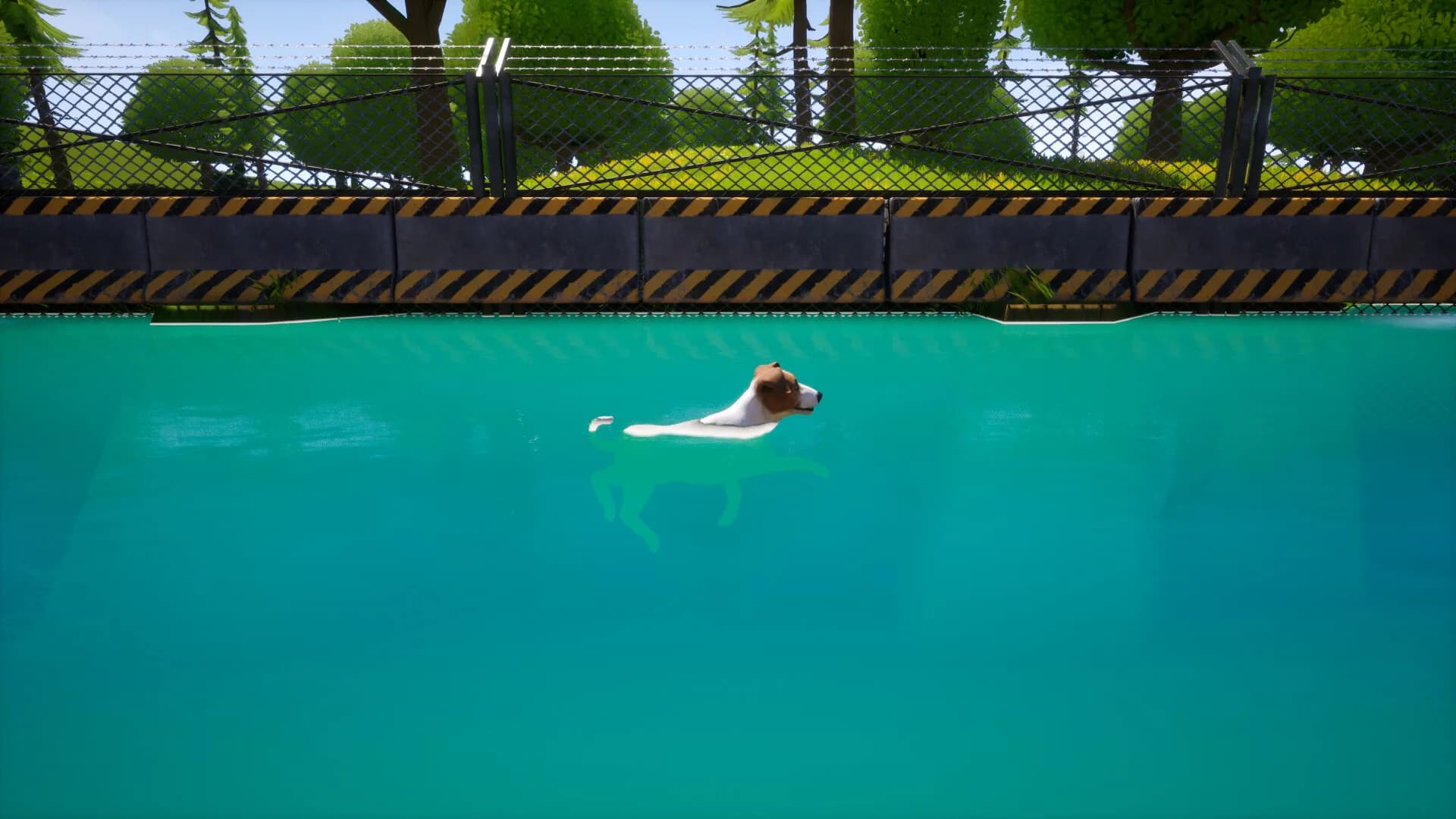 Dogs Club görsel 6