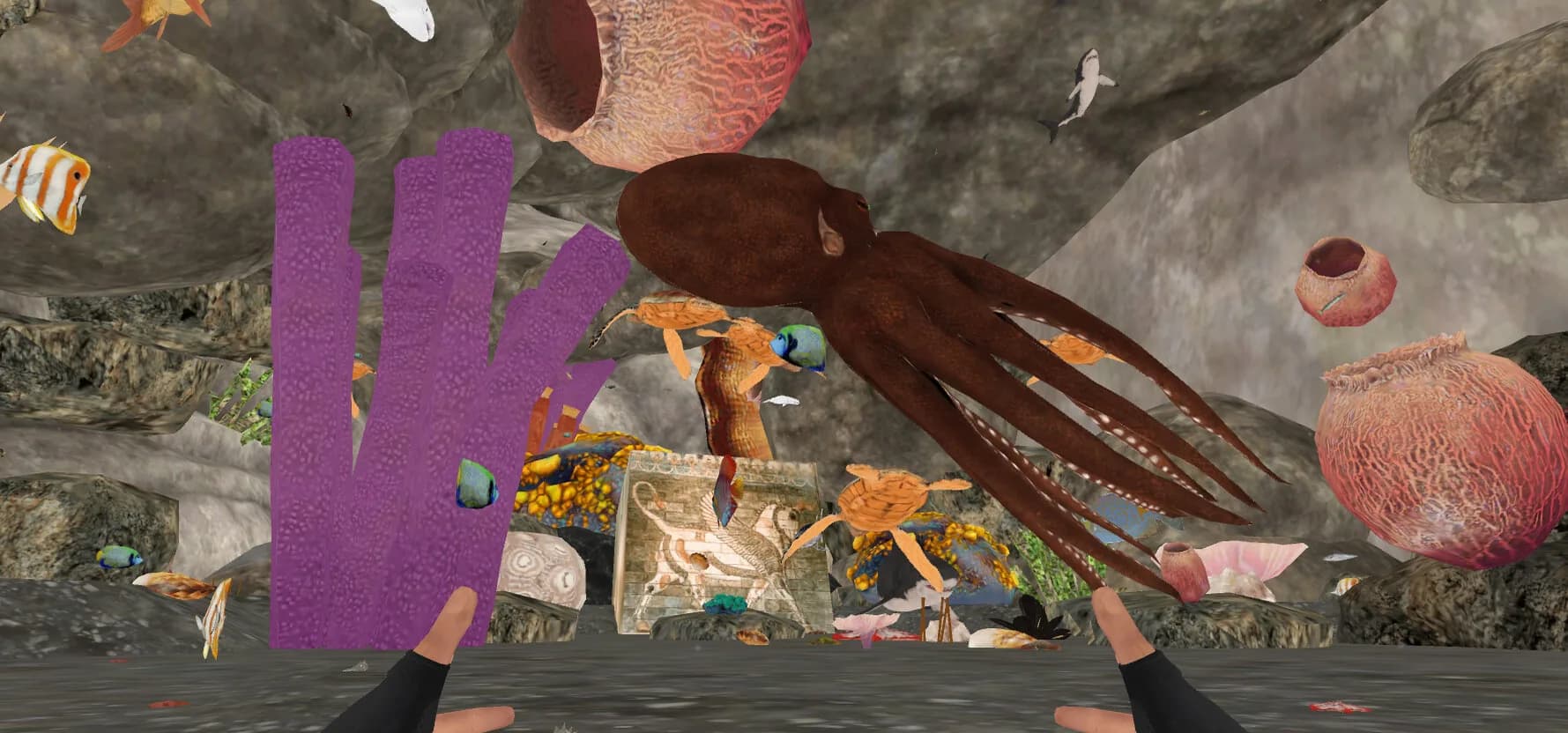 ZOSU Ocean VR görsel 12