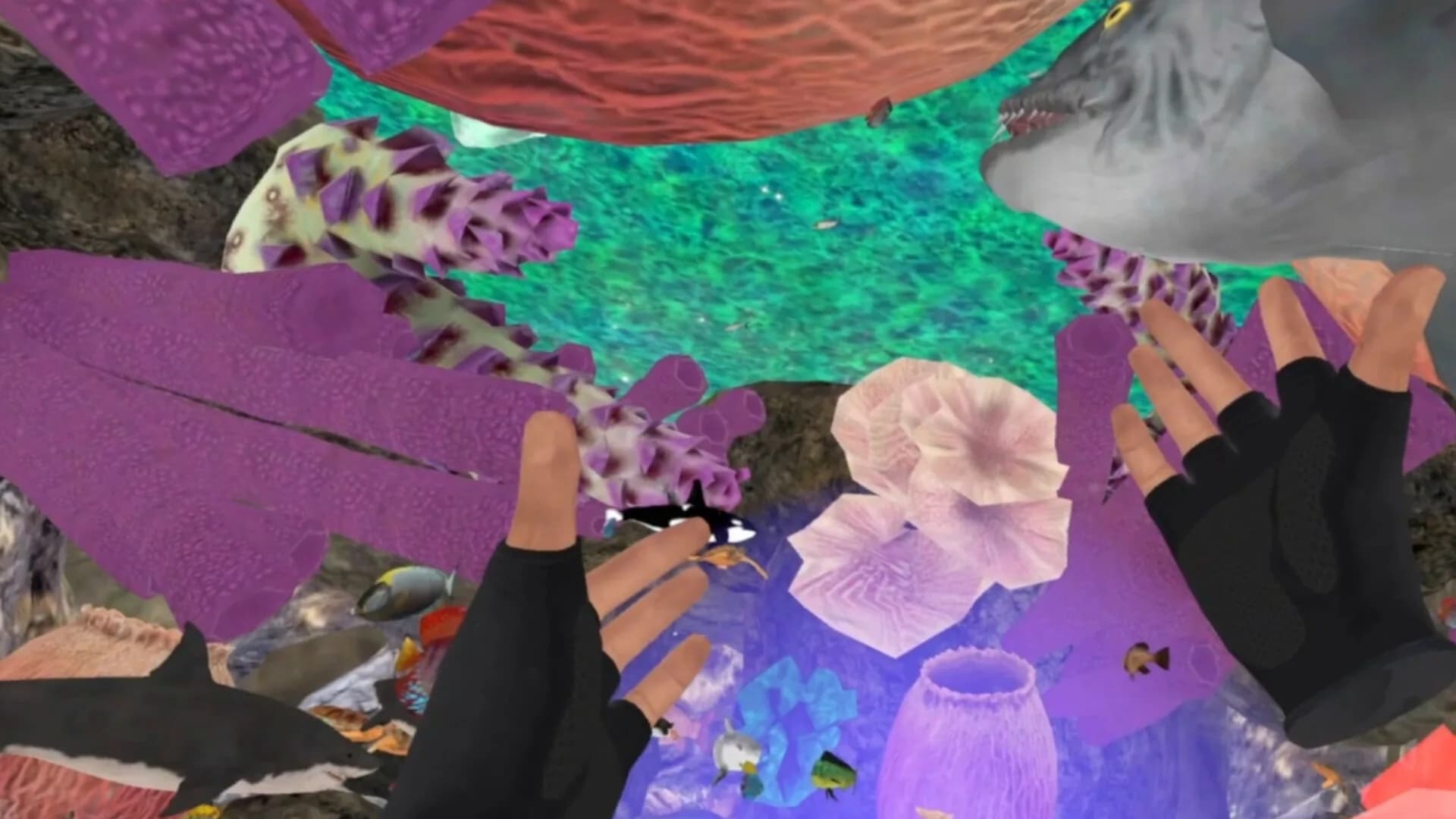 ZOSU Ocean VR görsel 5