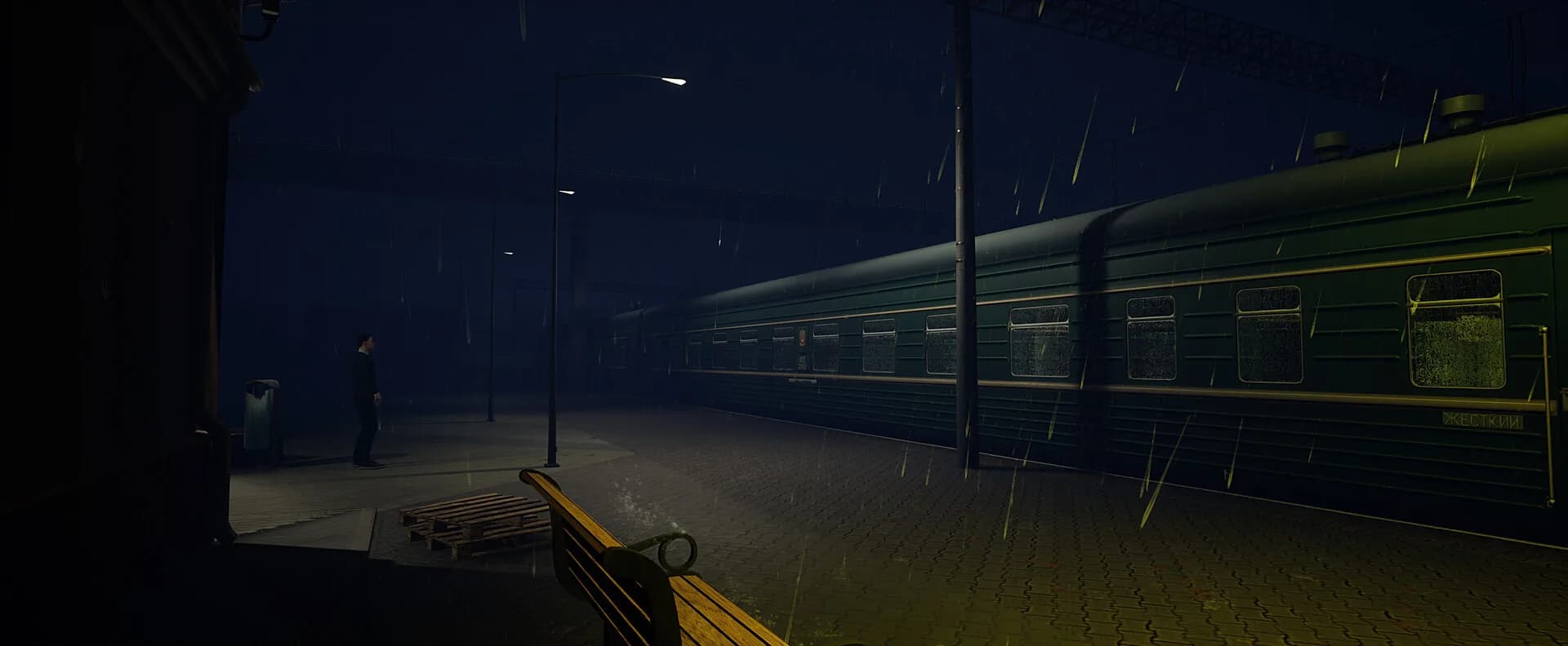 Russian Train Trip 3 görsel 5
