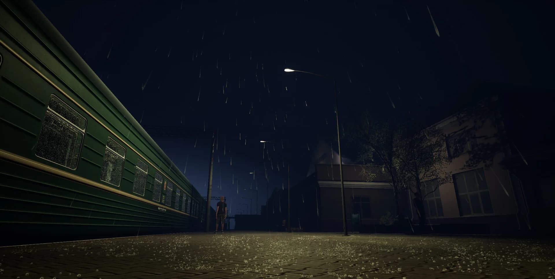 Russian Train Trip 3 görsel 8