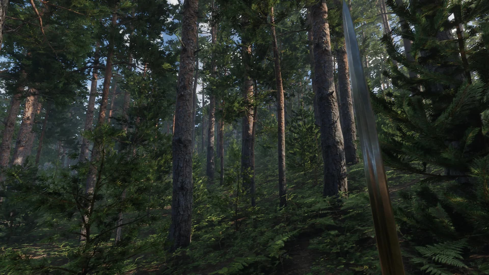 Valden Saga görsel 9
