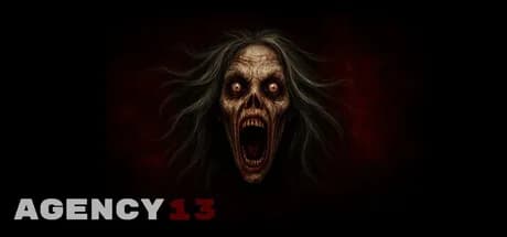 Agency 13