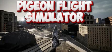 Pigeon Flight Simulator