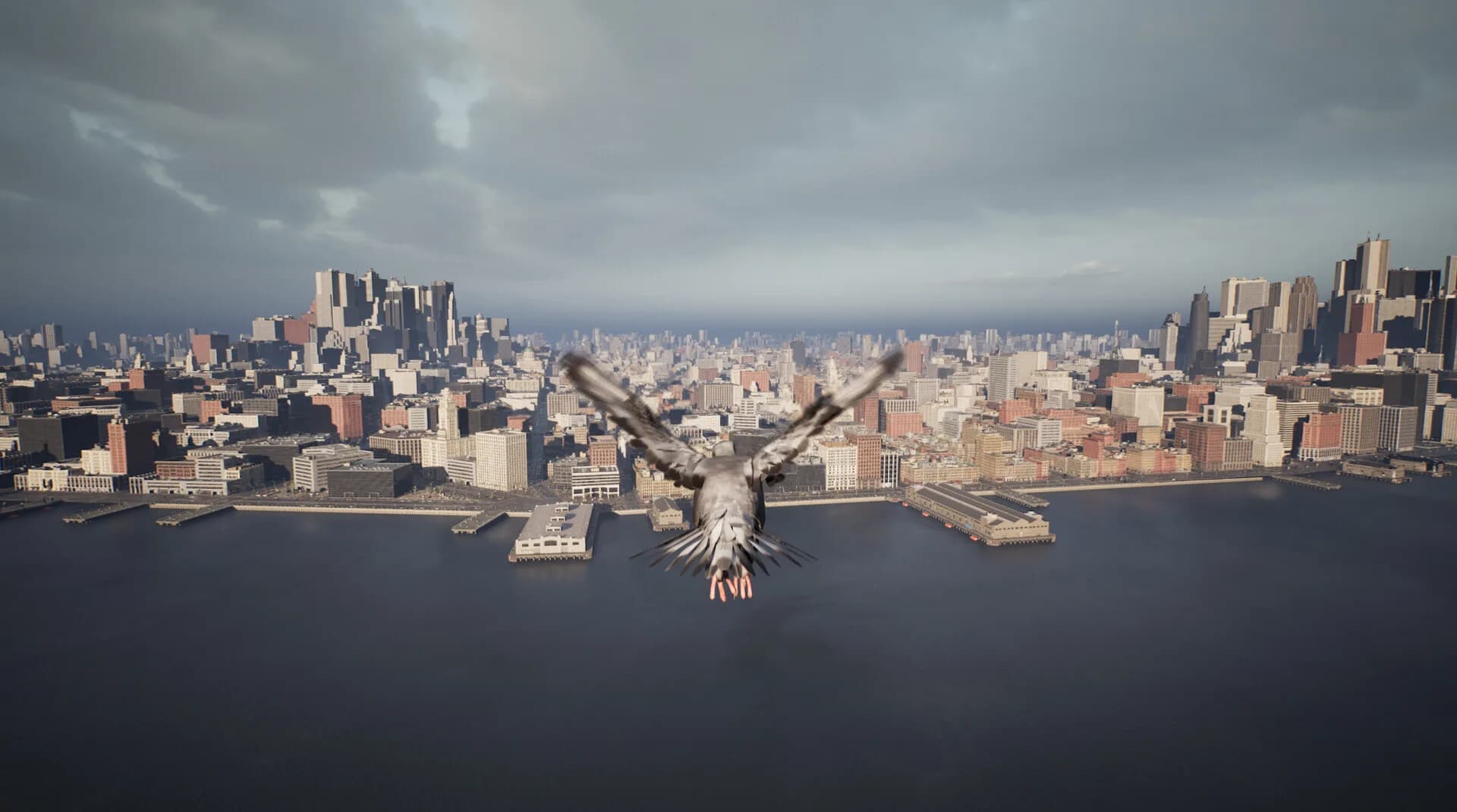 Pigeon Flight Simulator görsel 2