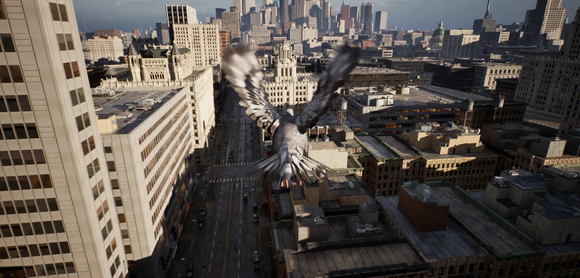 Pigeon Flight Simulator görsel 3