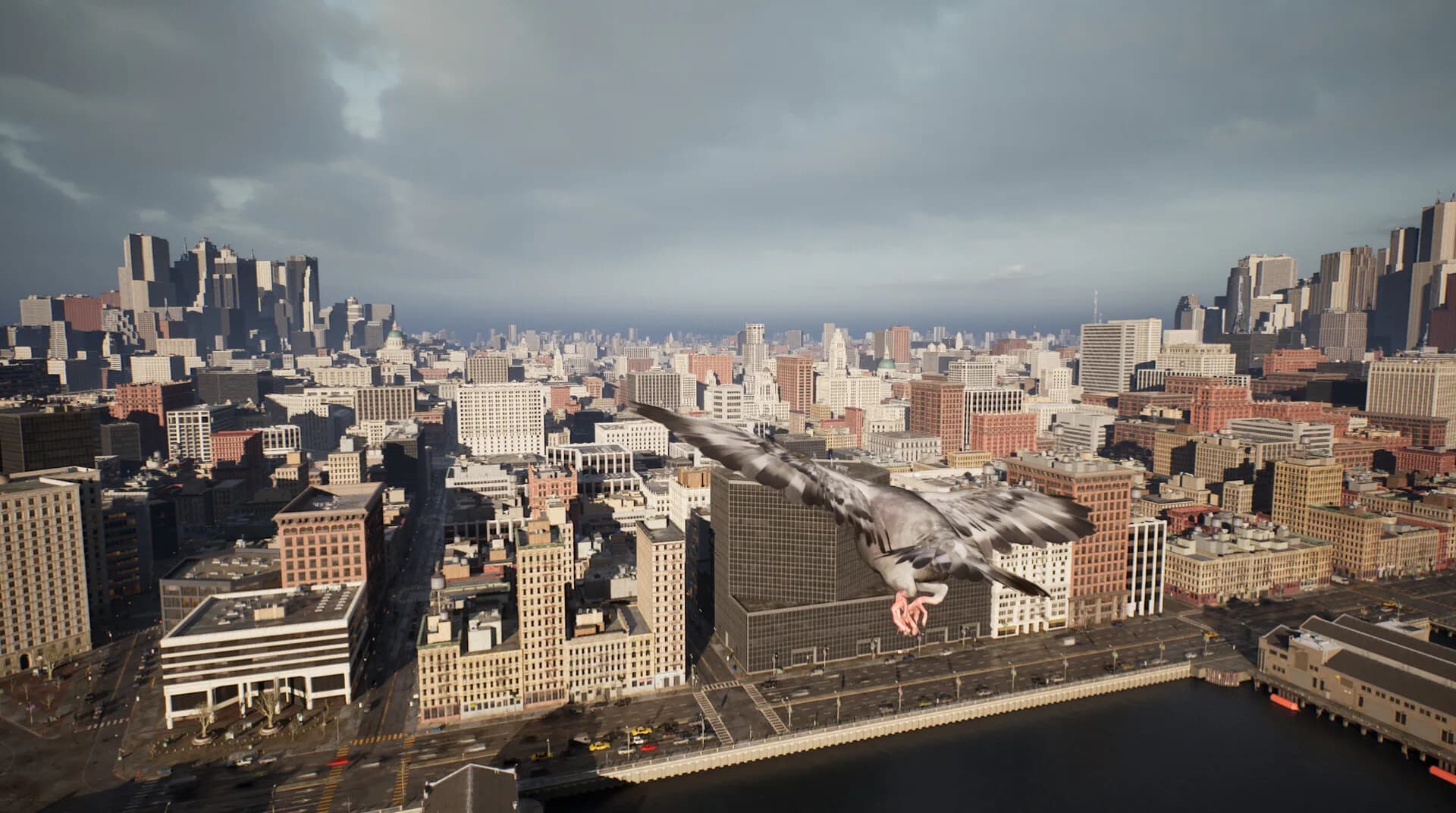 Pigeon Flight Simulator görsel 4