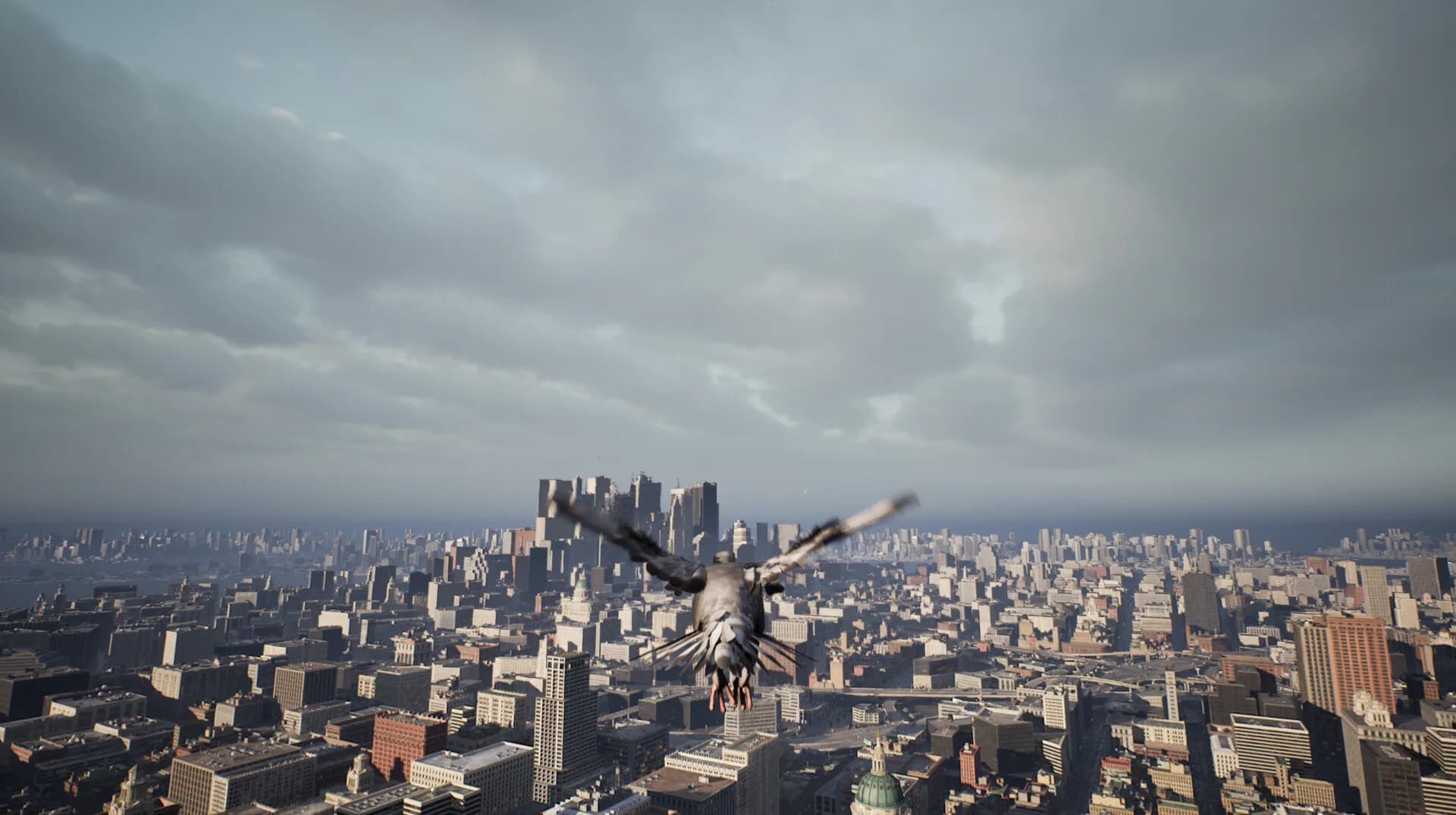 Pigeon Flight Simulator görsel 5