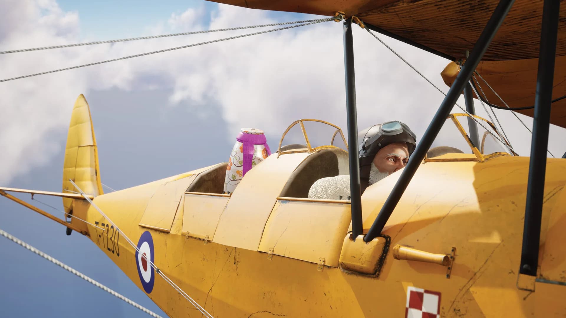 FlyBye görsel 2