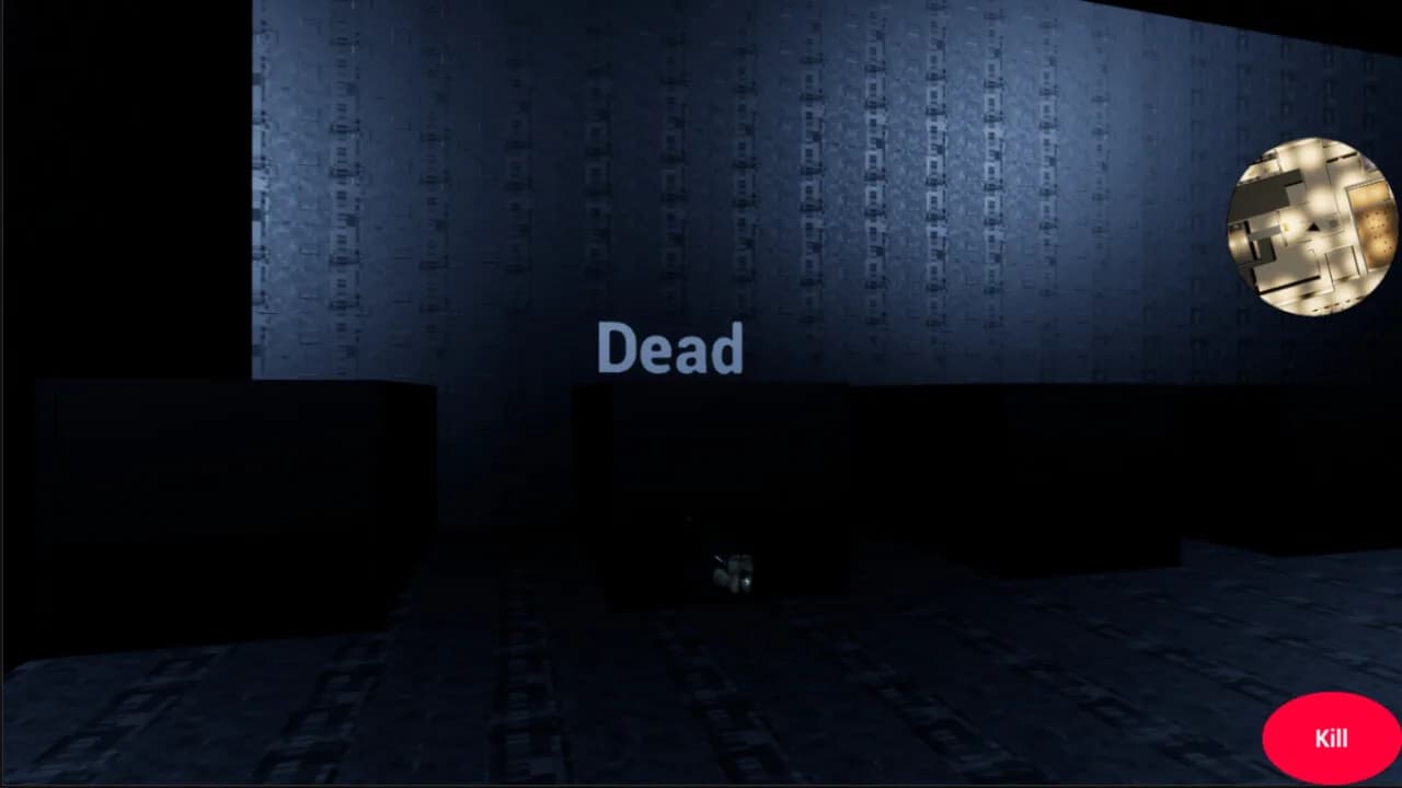 AUDSDG görsel 4