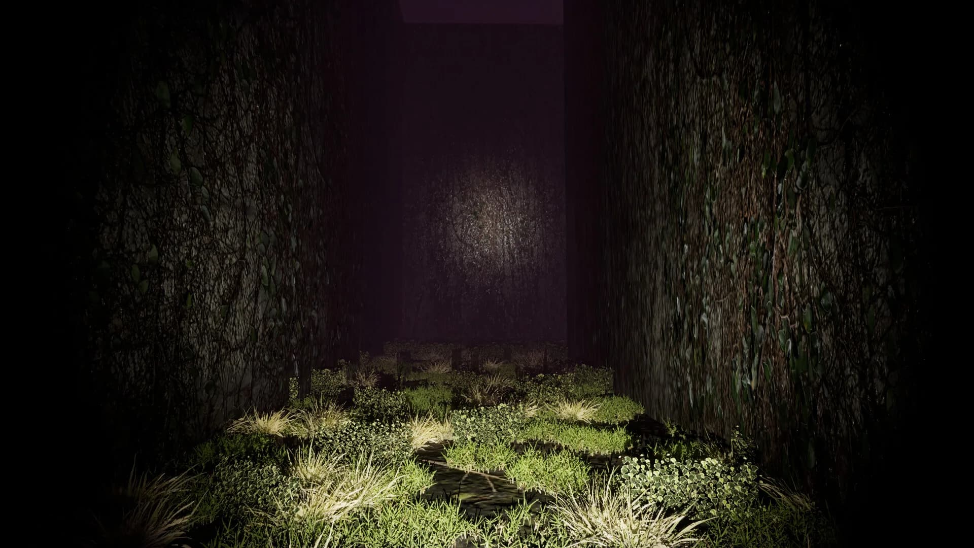 Convolution of Fear görsel 4