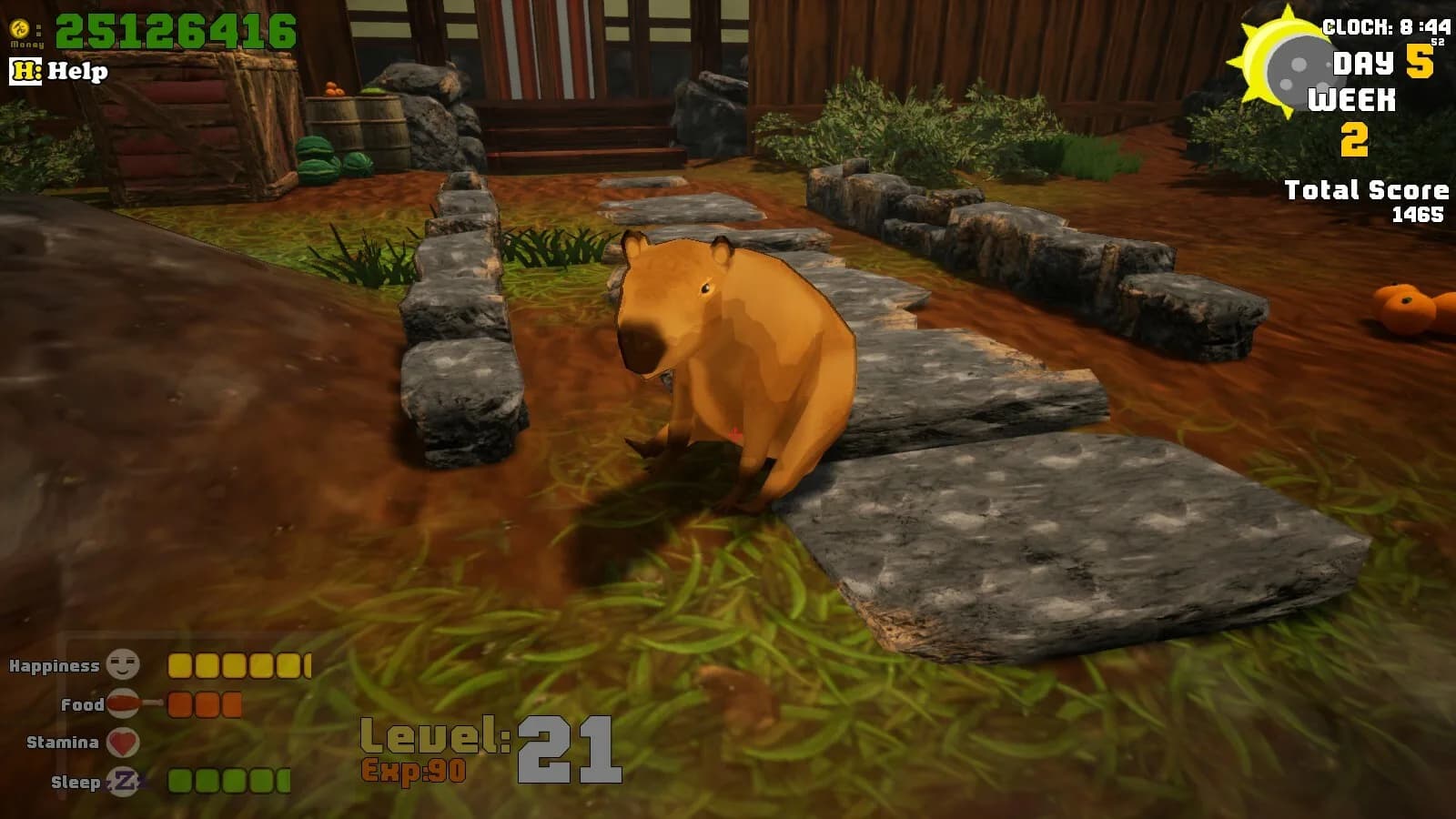 I Believe in Capybara Supremacy! görsel 3