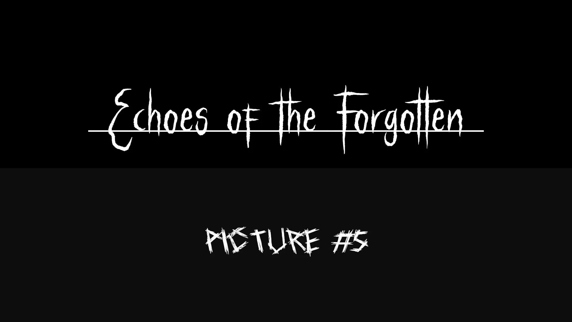 Echoes of the Forgotten görsel 6