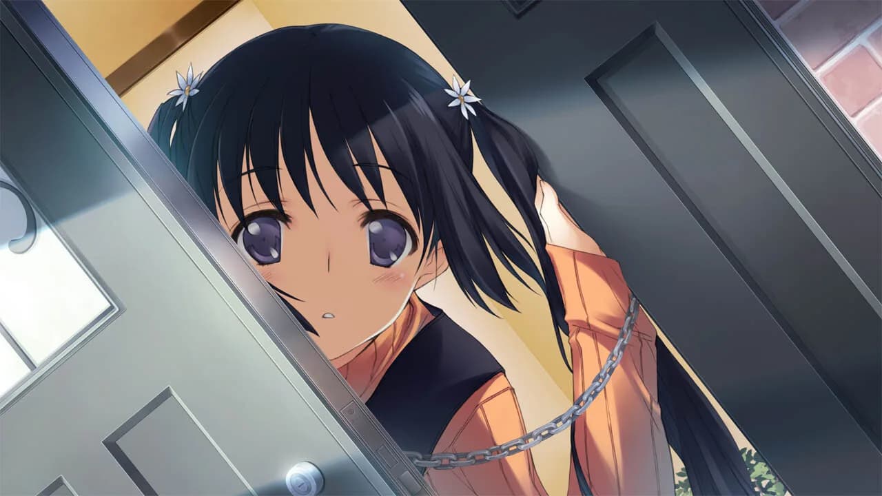 WHITE ALBUM: Memories like Falling Snow görsel 13