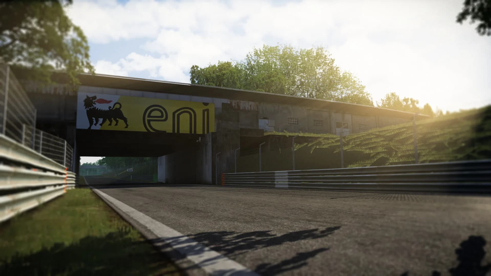 Assetto Corsa görsel 83