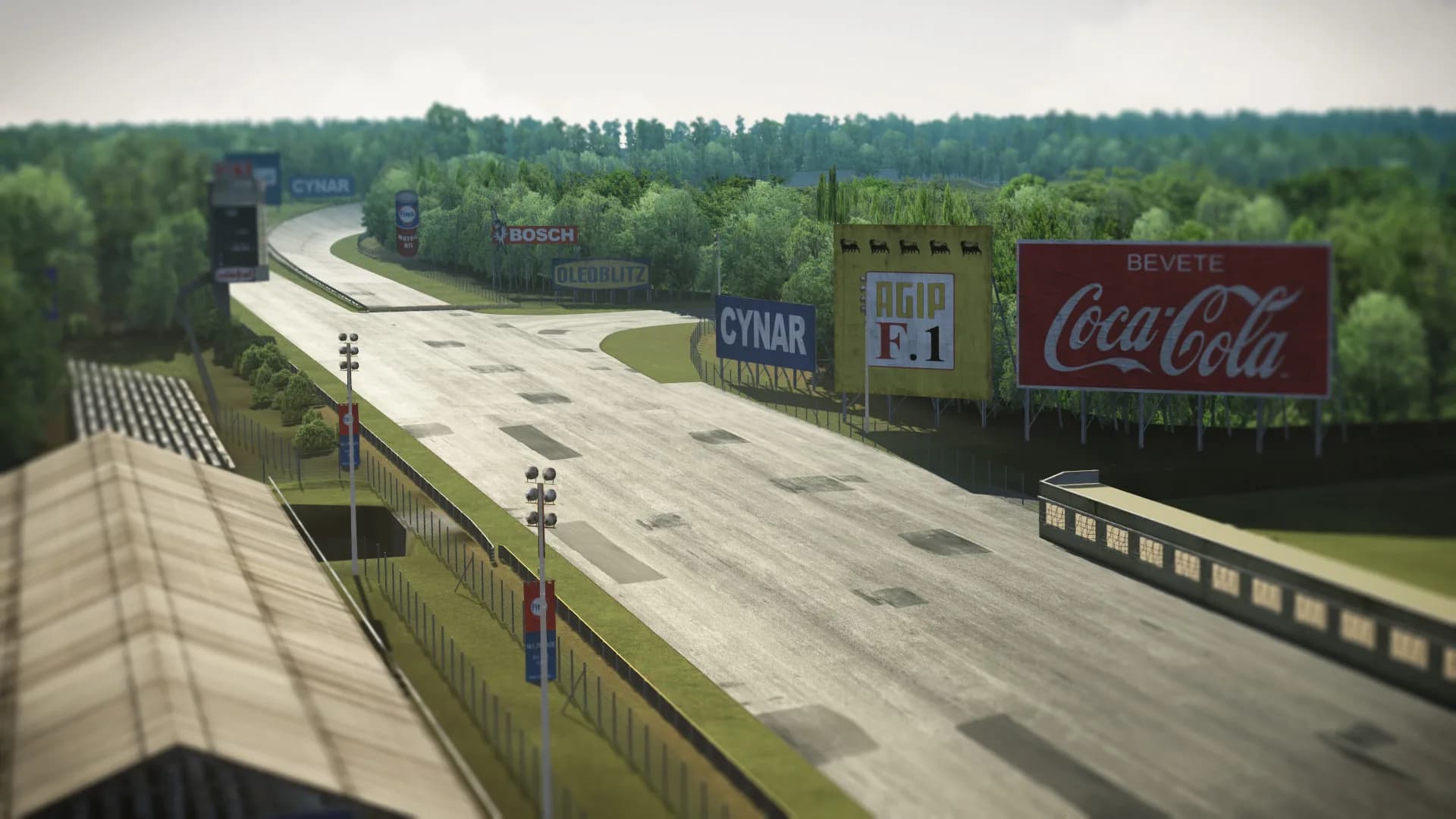 Assetto Corsa görsel 87