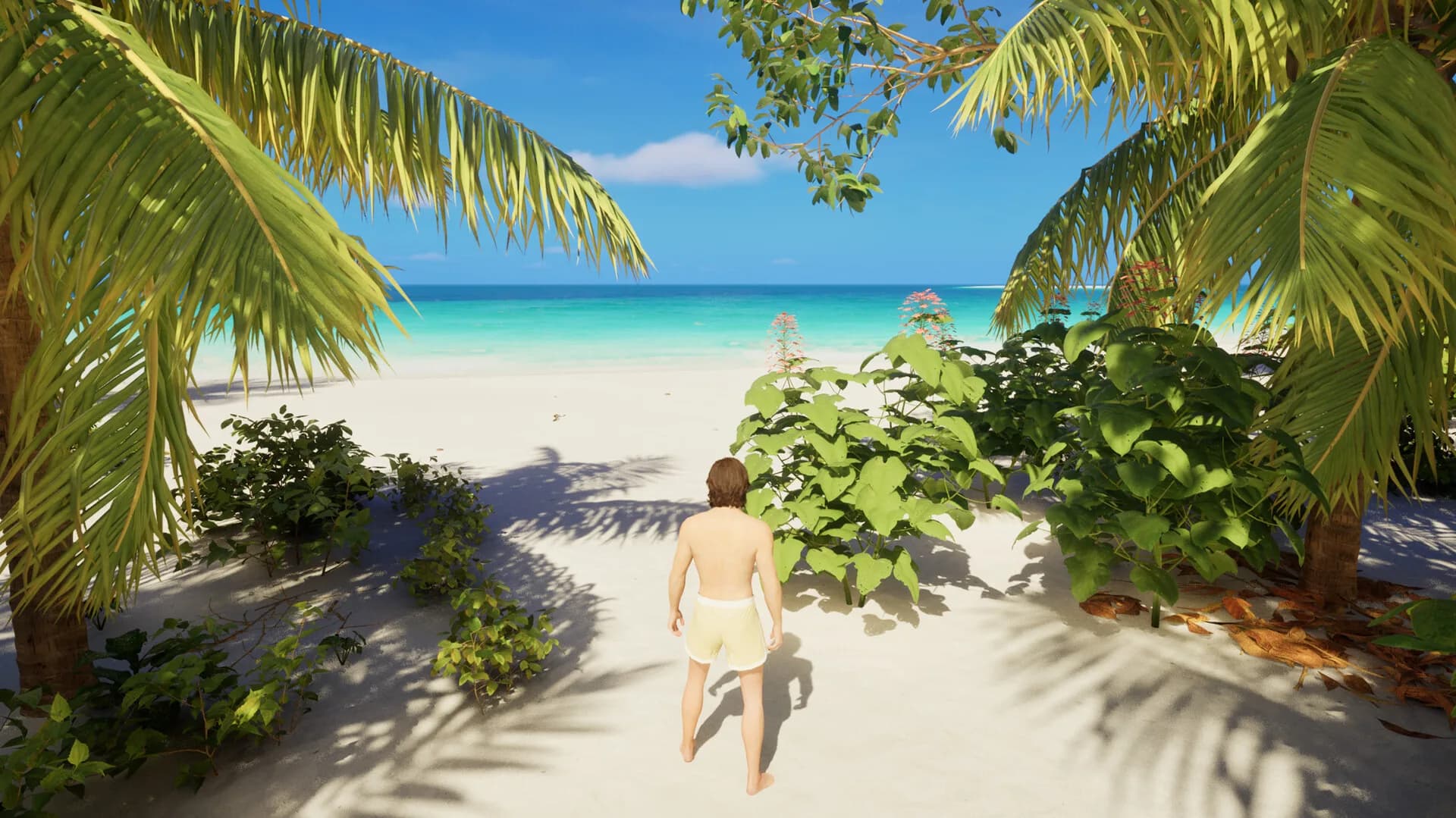 Maldives in Dream görsel 2
