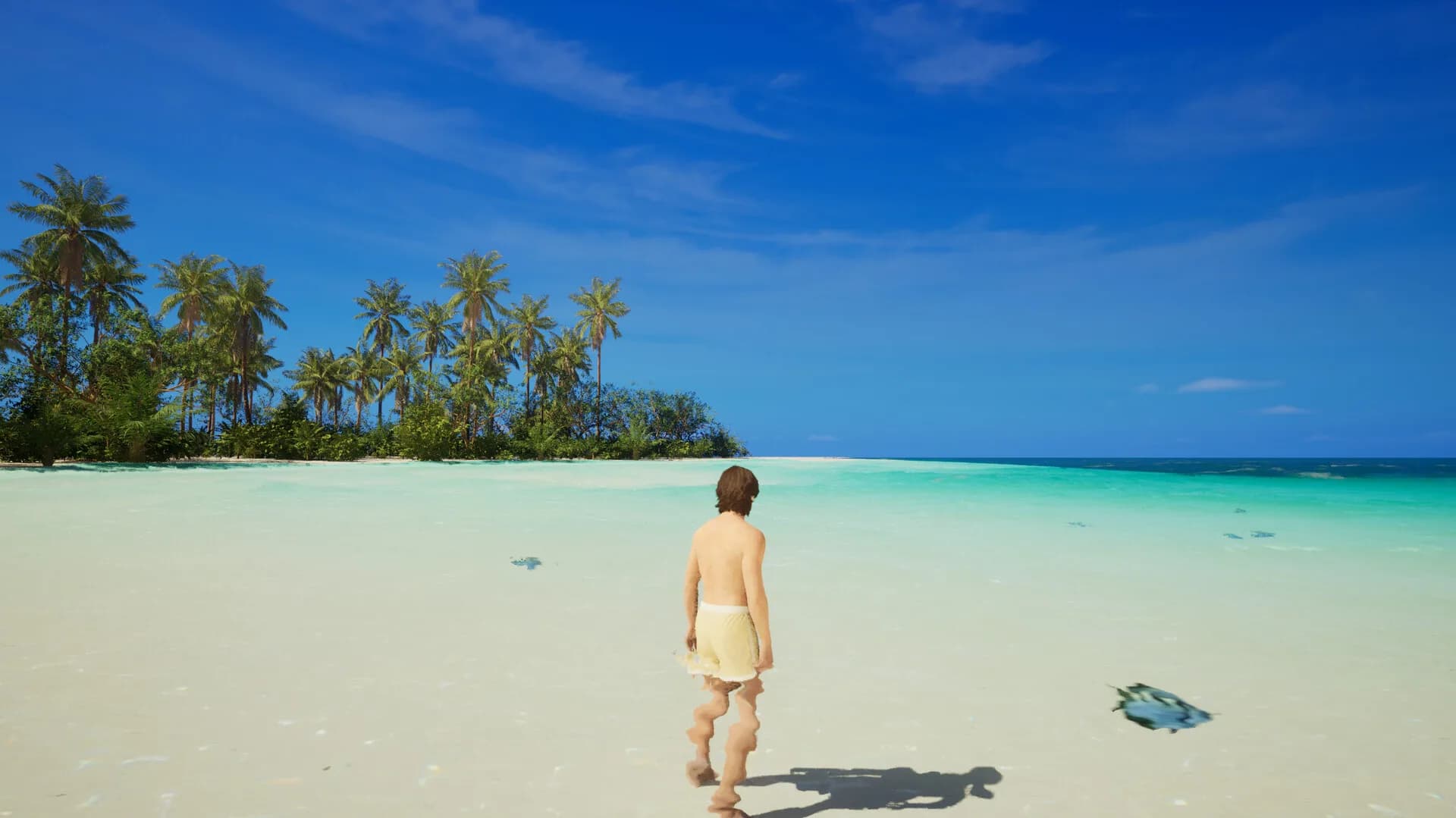Maldives in Dream görsel 3