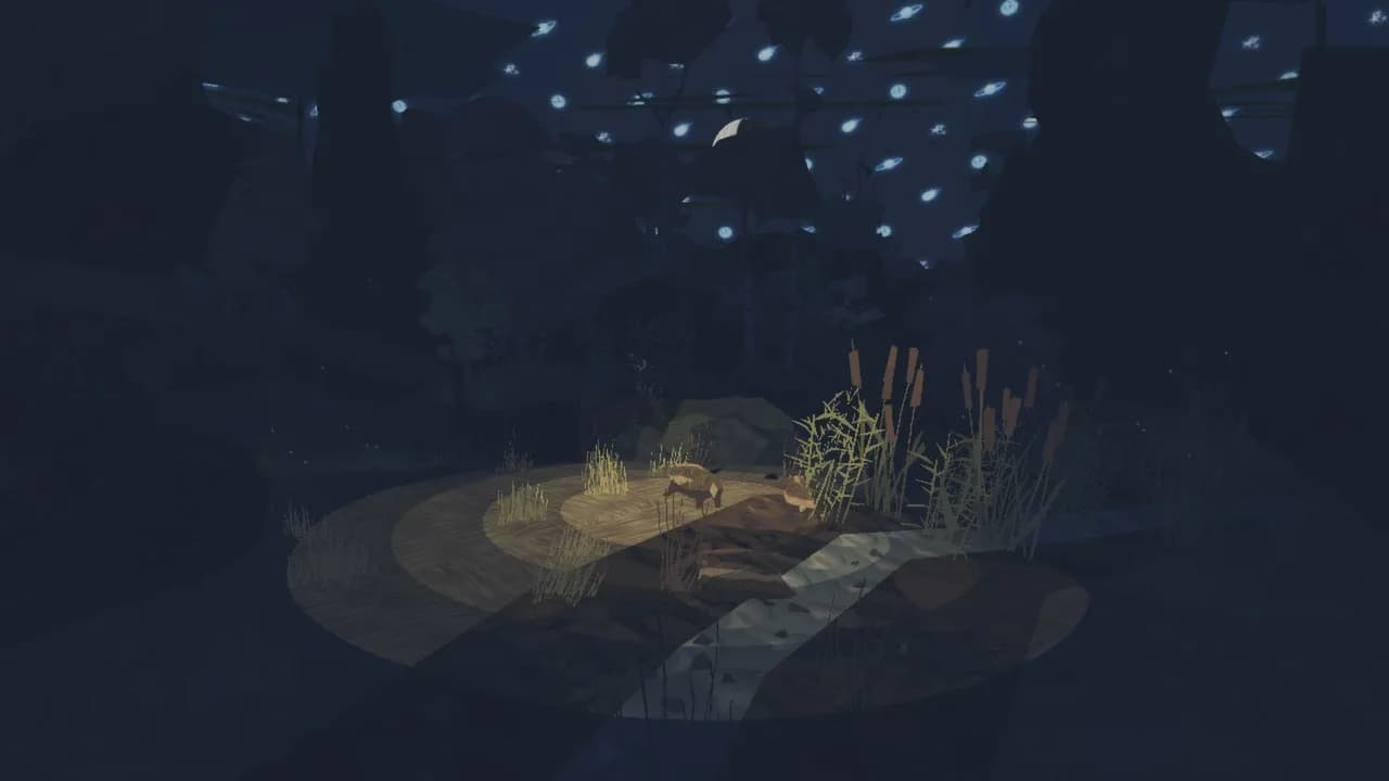Shelter görsel 8