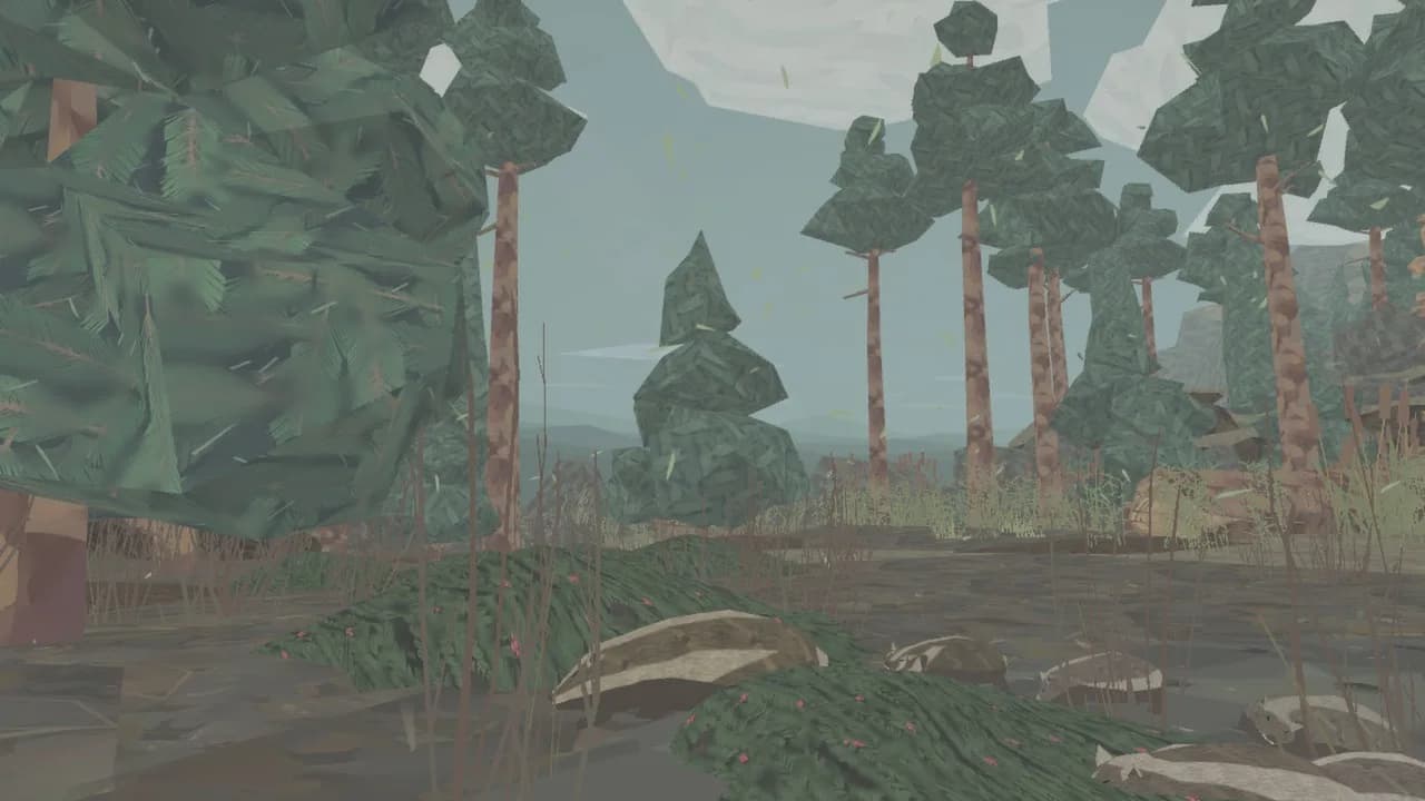 Shelter görsel 9