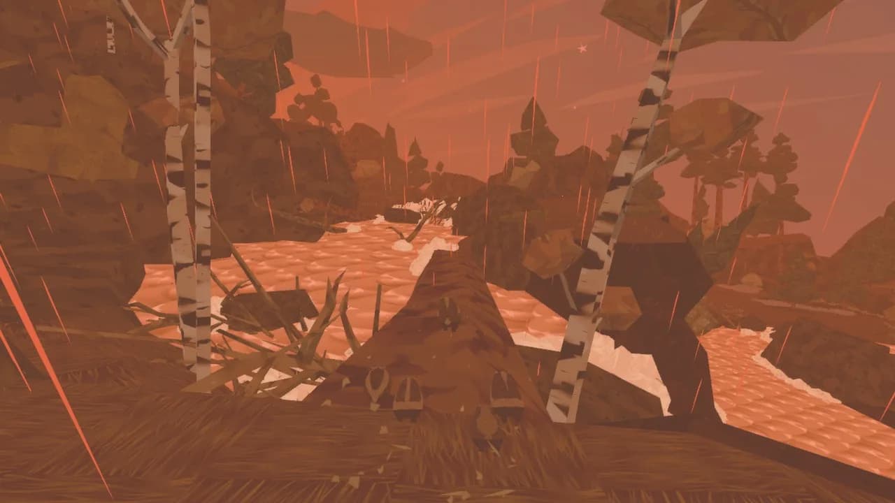 Shelter görsel 11