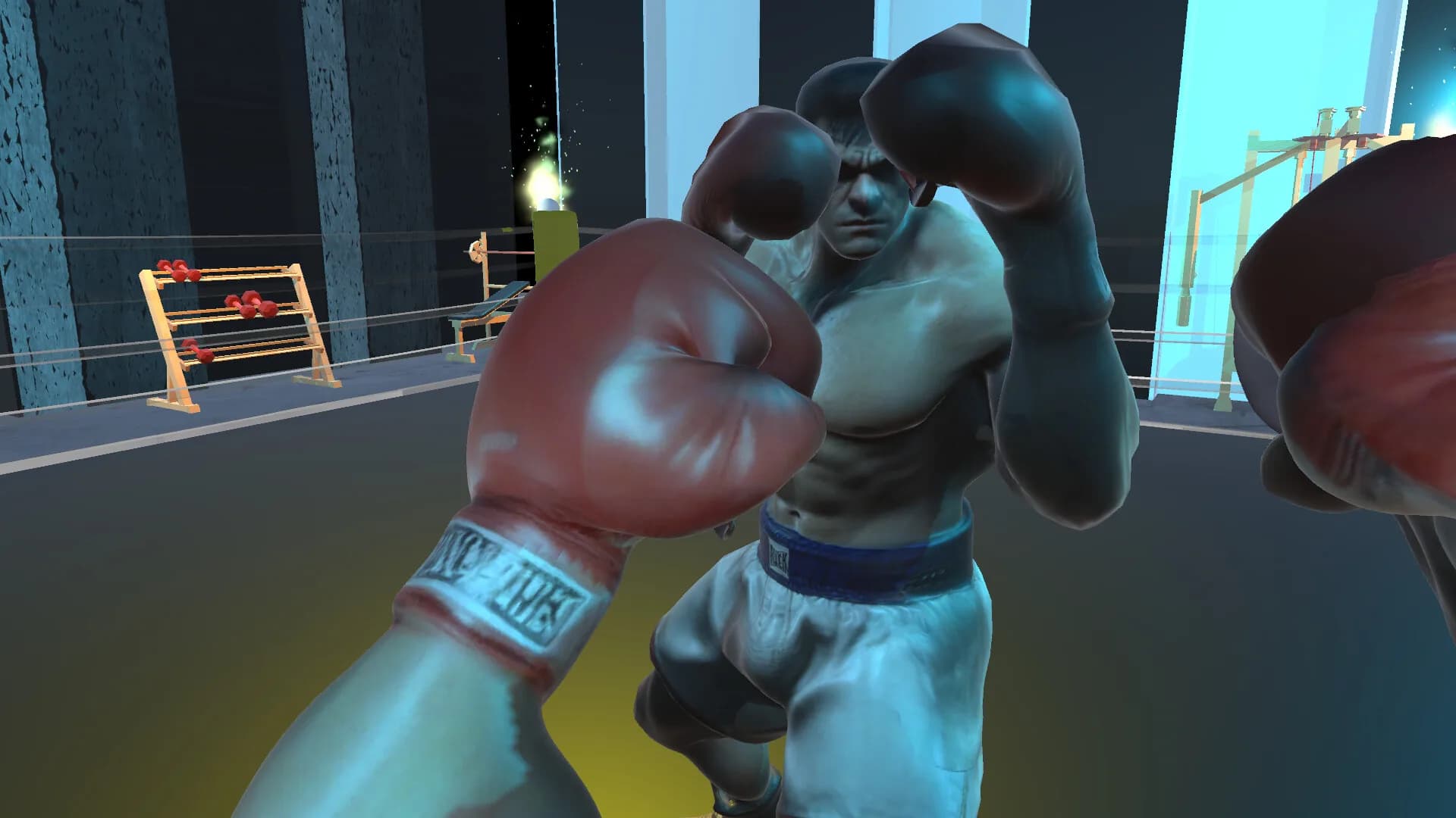 Shuruka Boxing görsel 2