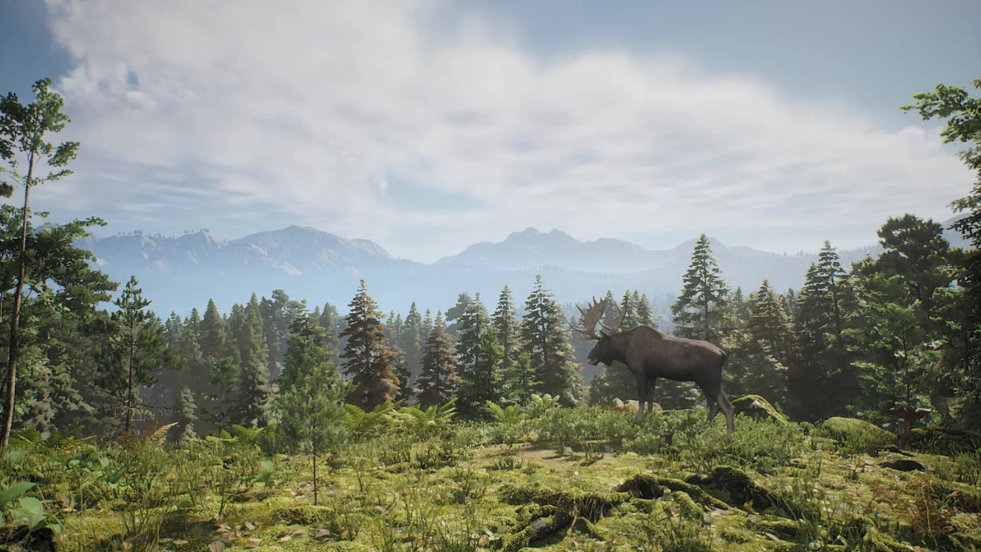 Project Hunt görsel 3